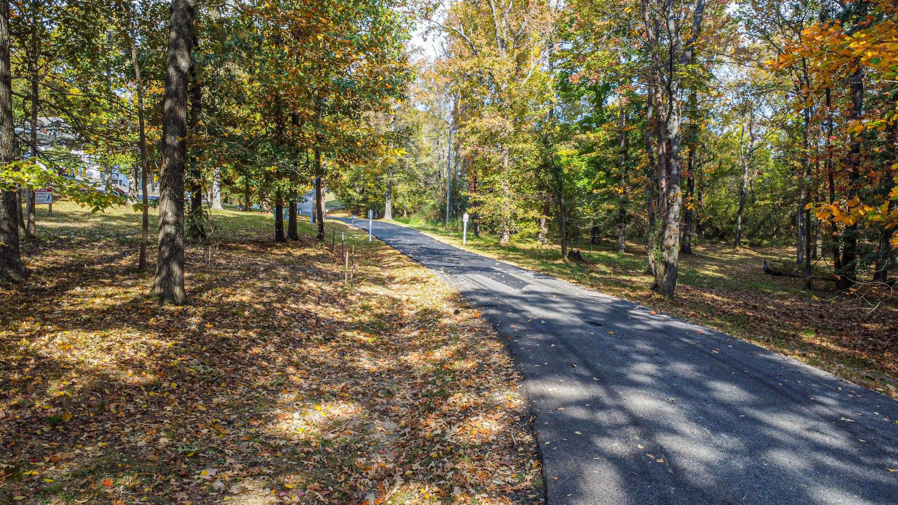 Lot 1-2 Little Lake Village Property Photo 3