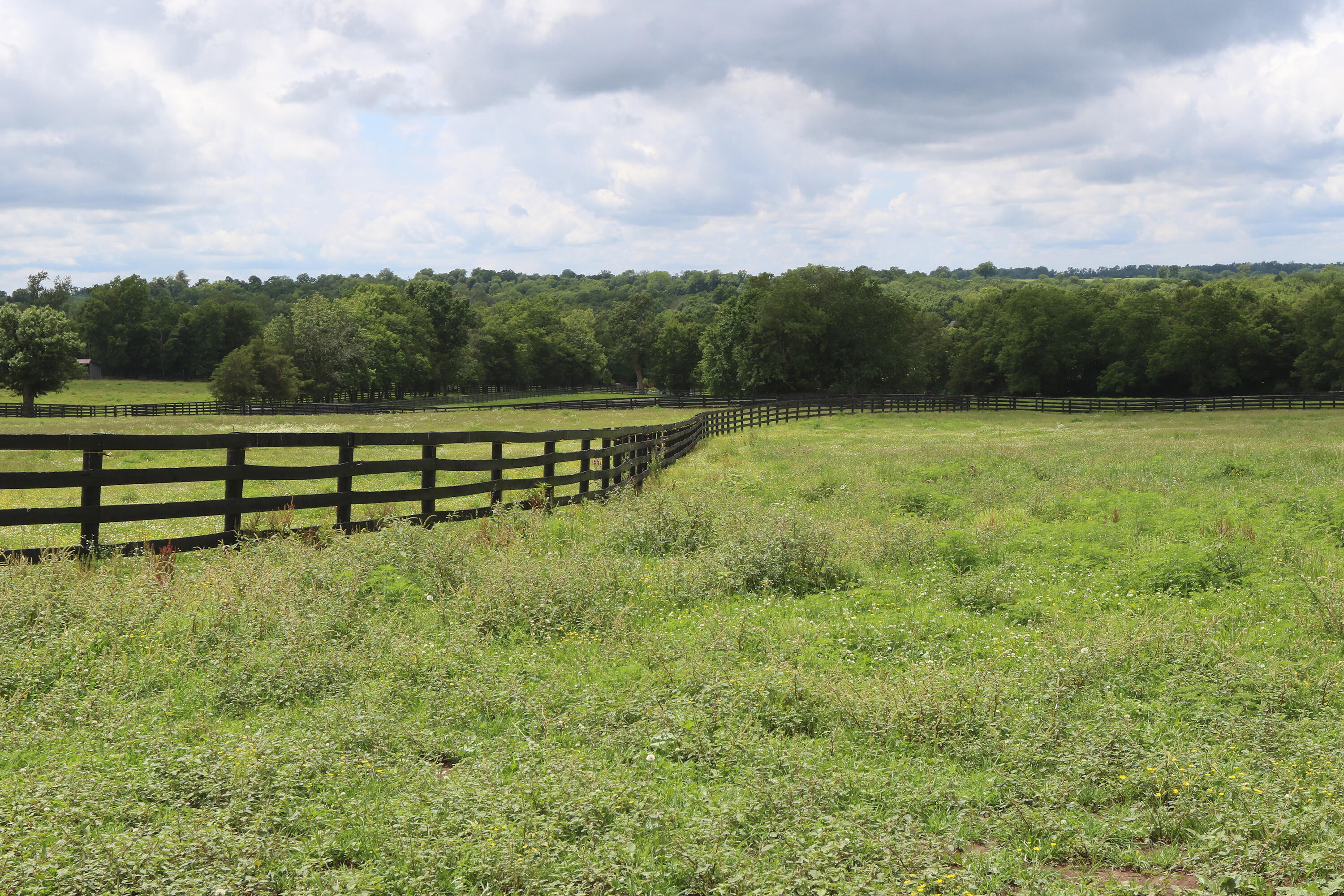 1070 Kidds Mill Road Property Photo 29