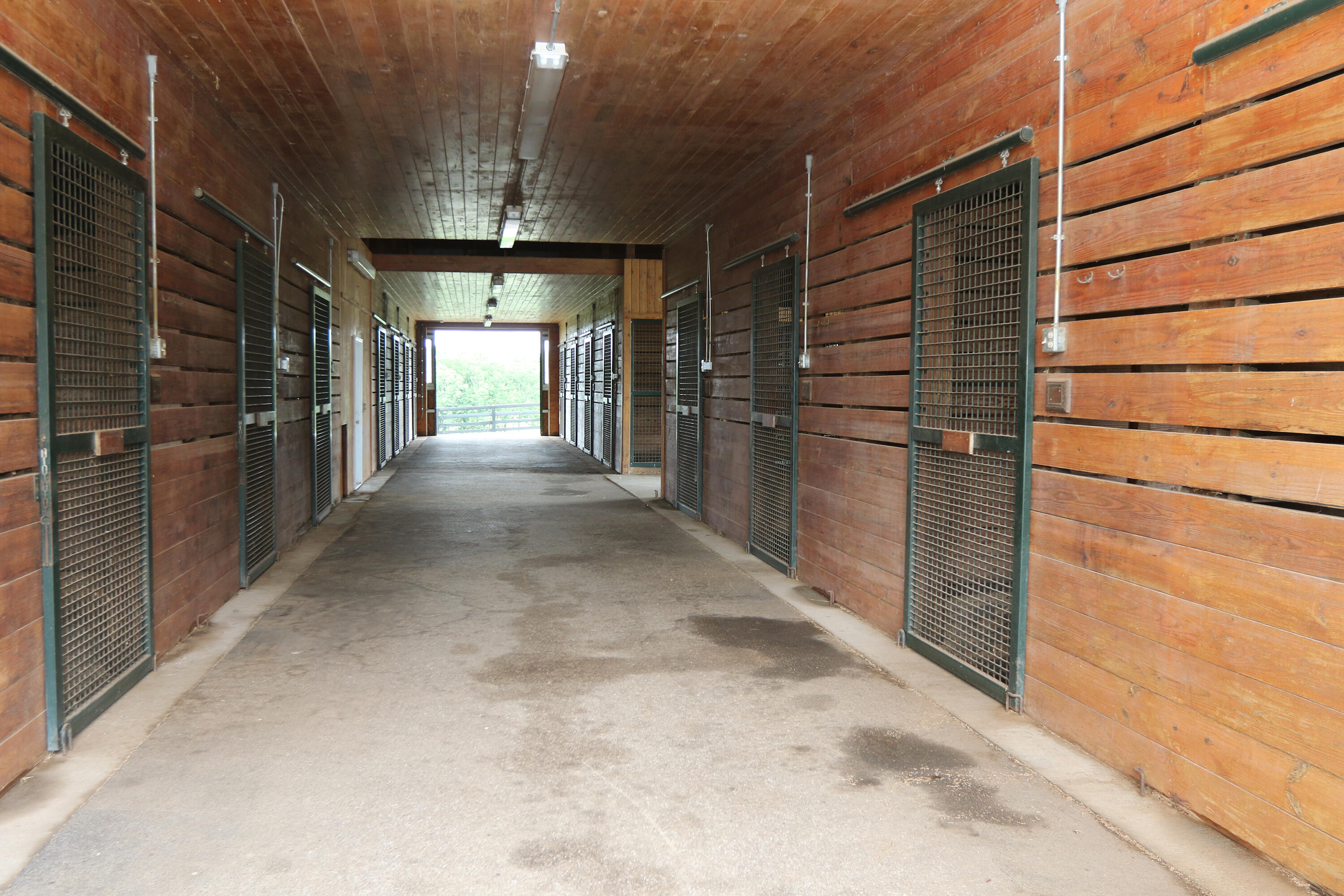 1070 Kidds Mill Road Property Photo 35
