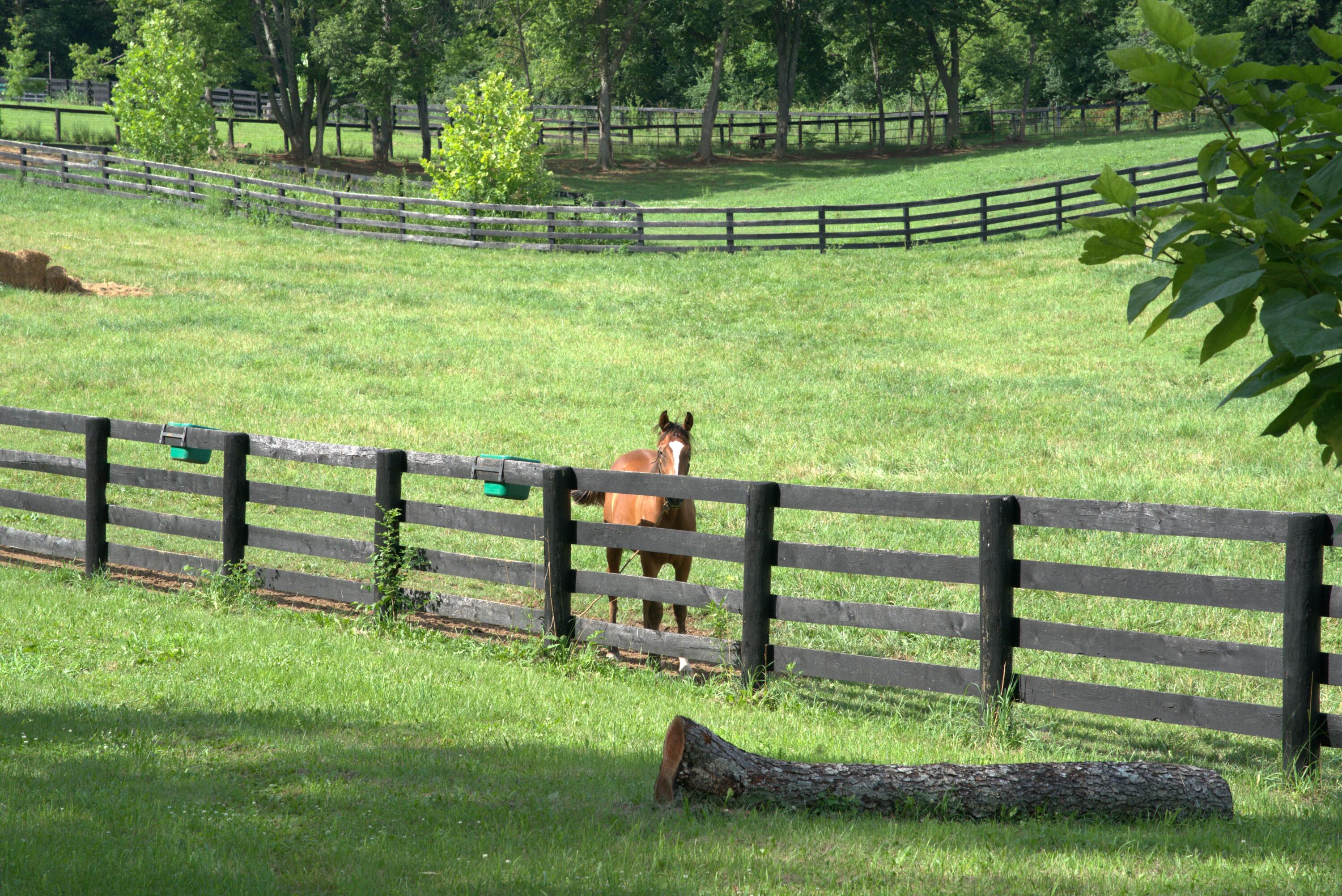 401 Cane Ridge Road Property Photo 9
