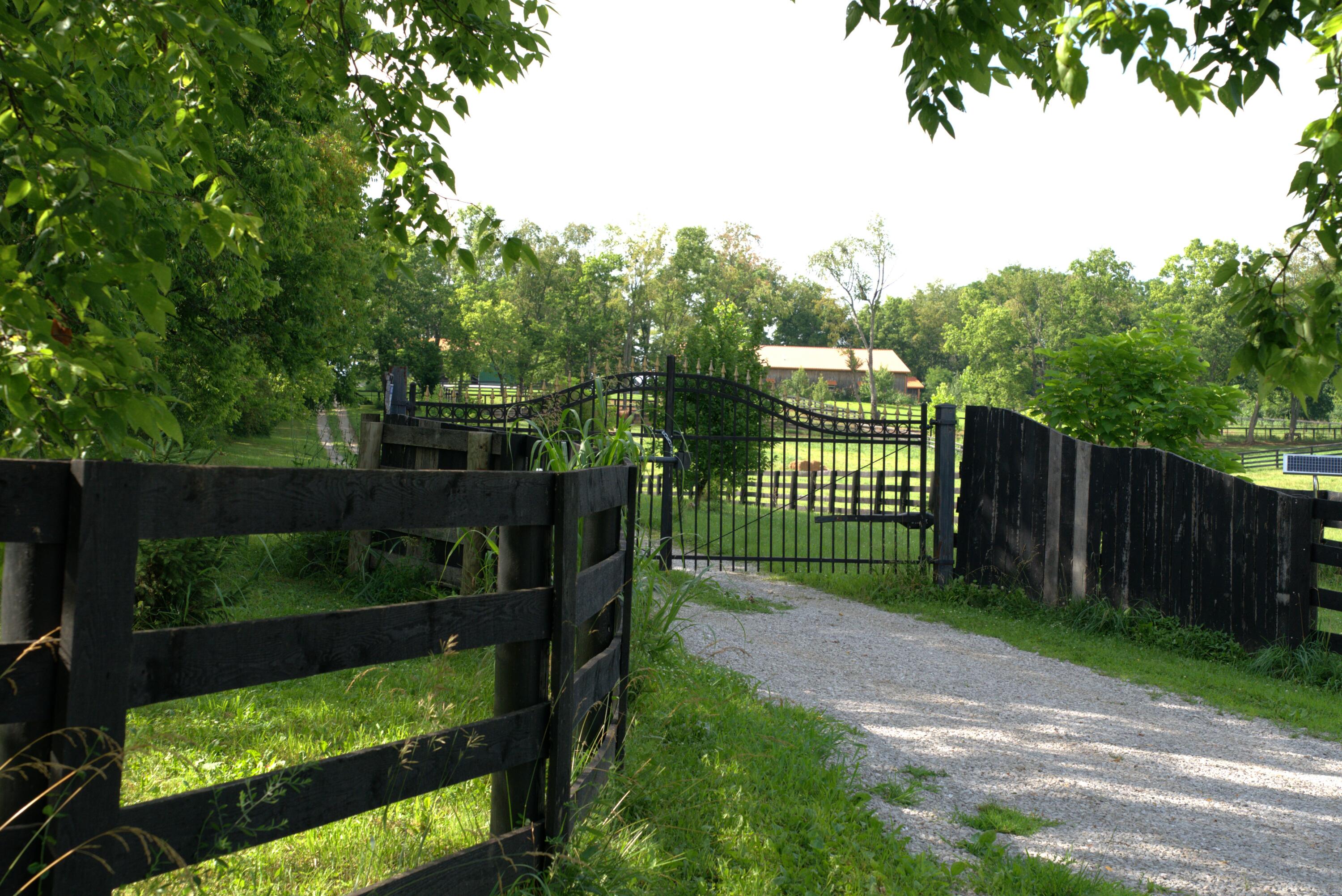 401 Cane Ridge Road Property Photo 11