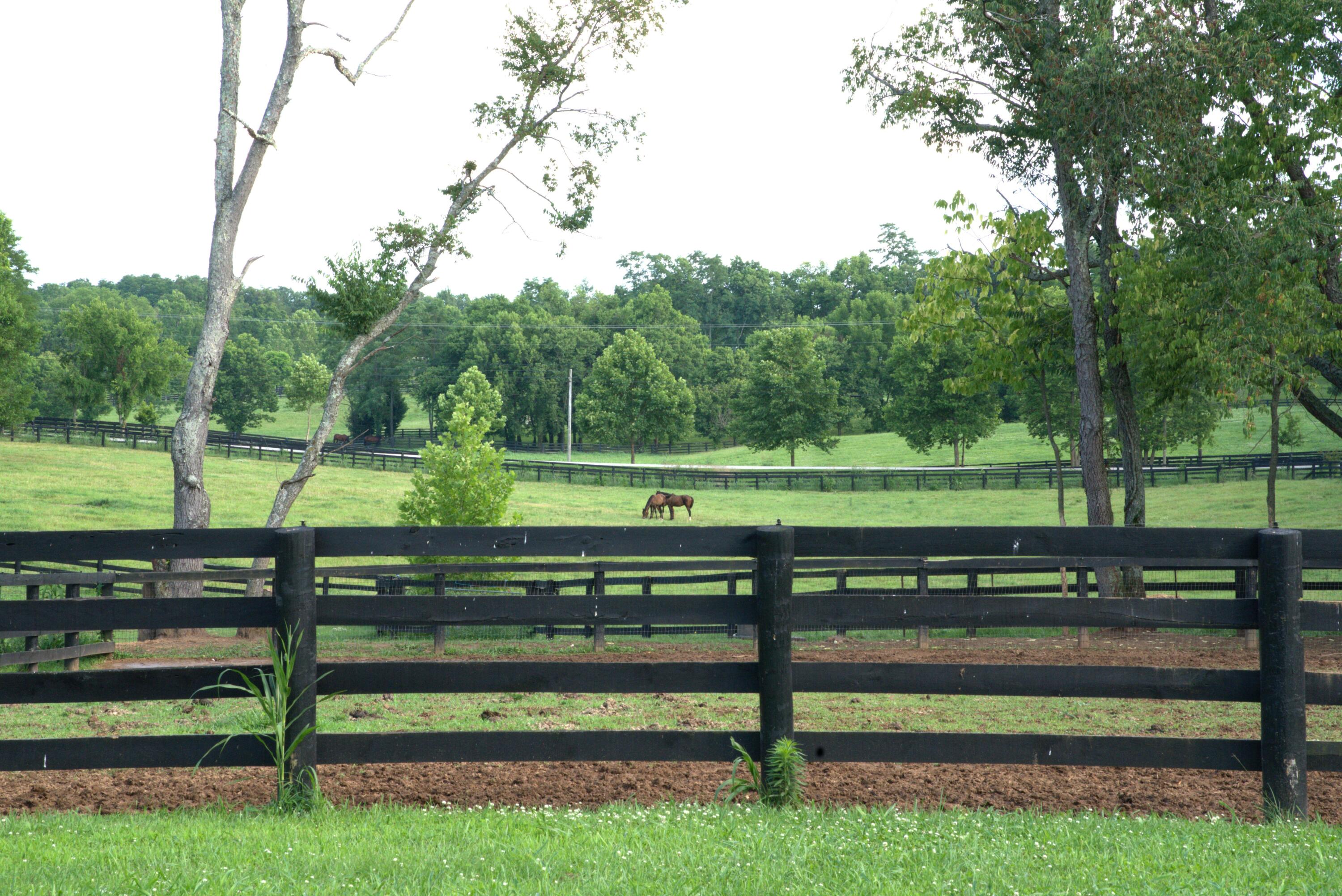 401 Cane Ridge Road Property Photo 18