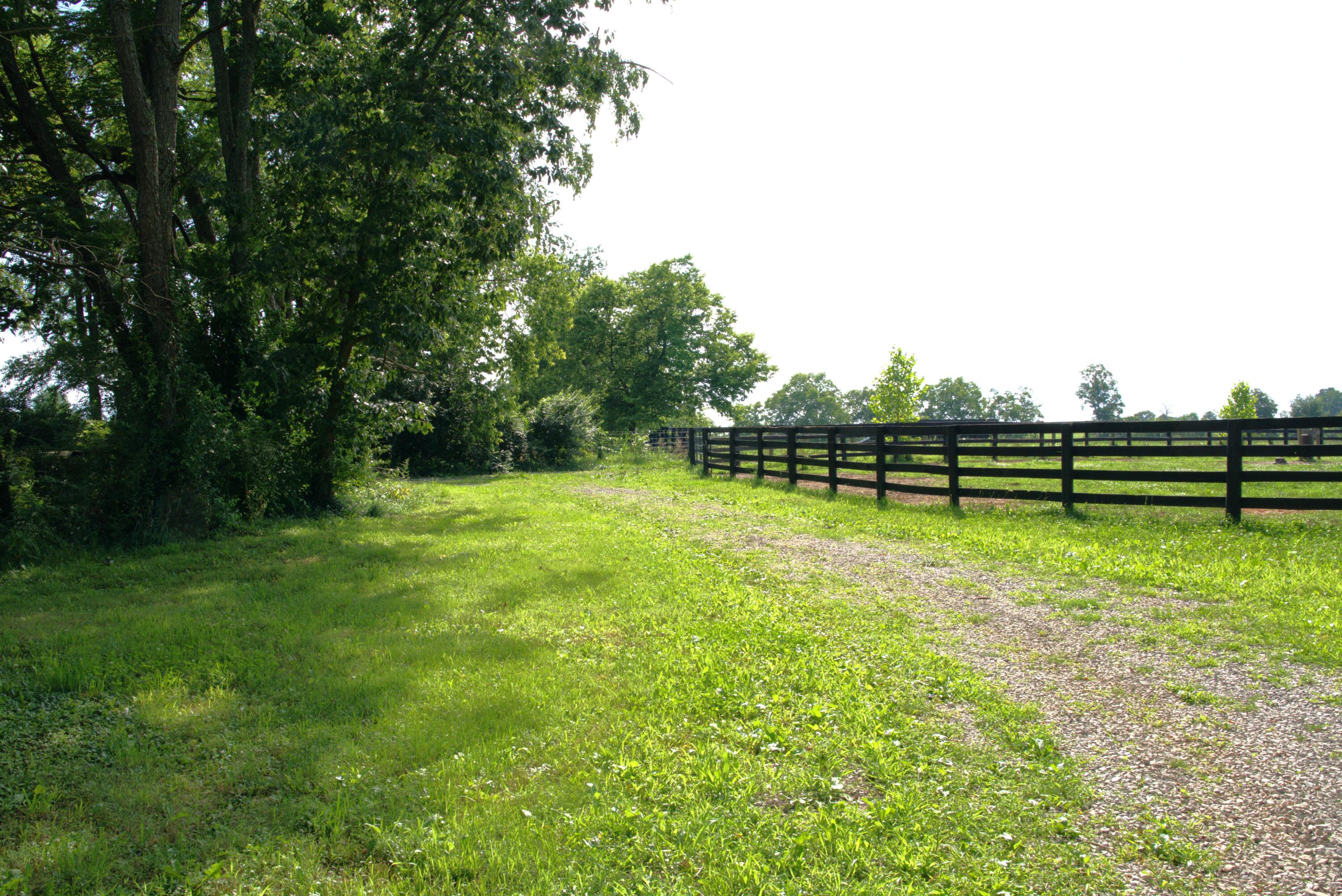401 Cane Ridge Road Property Photo 20