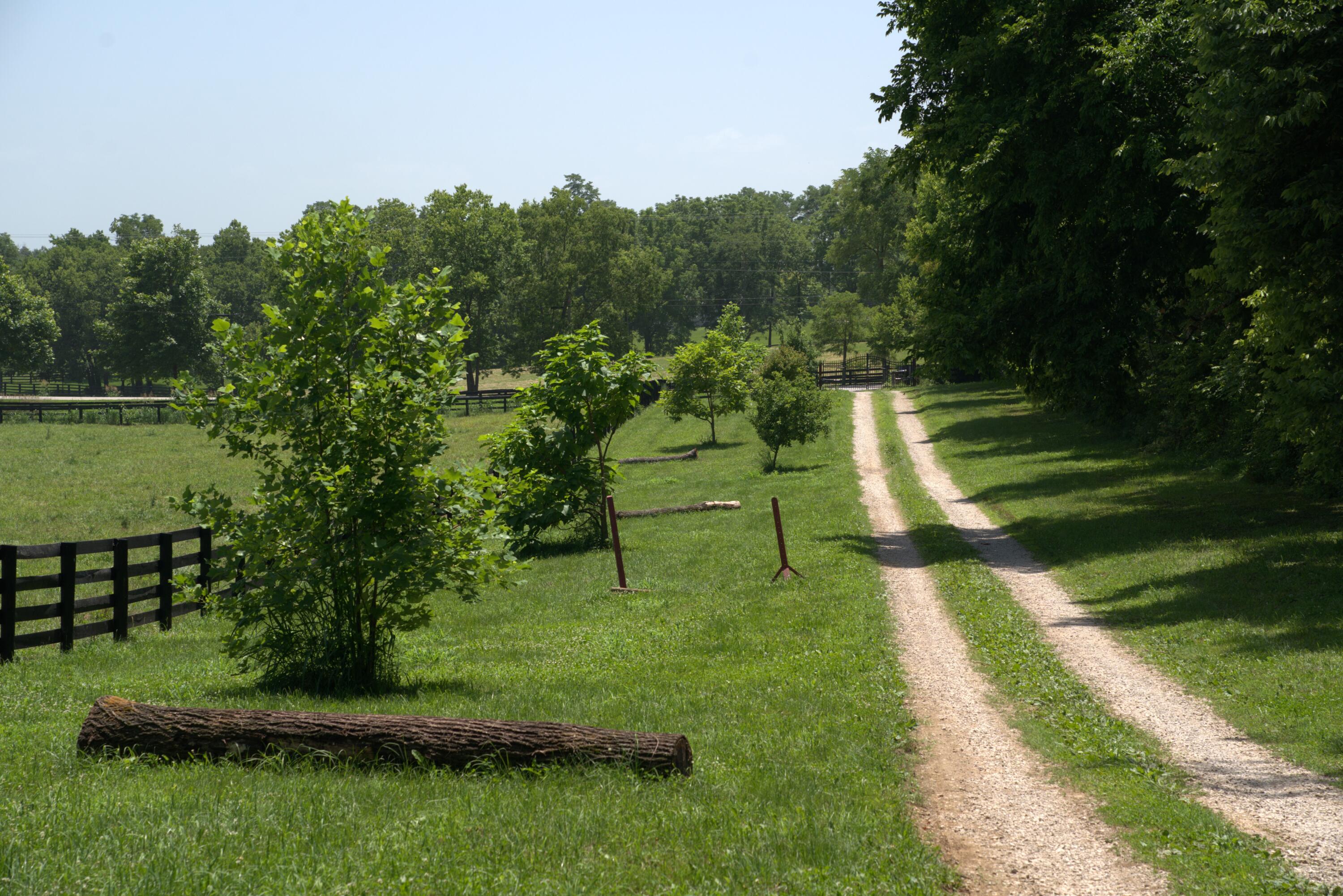 401 Cane Ridge Road Property Photo 23