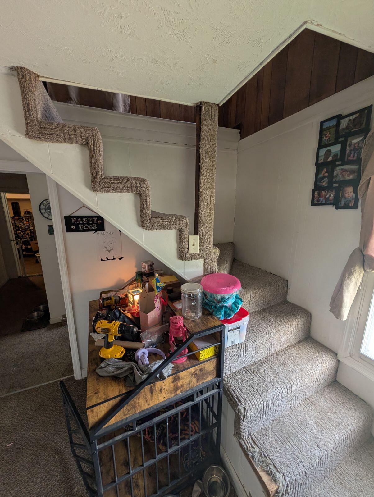 2791 Scaffold Cane Road Property Photo 14