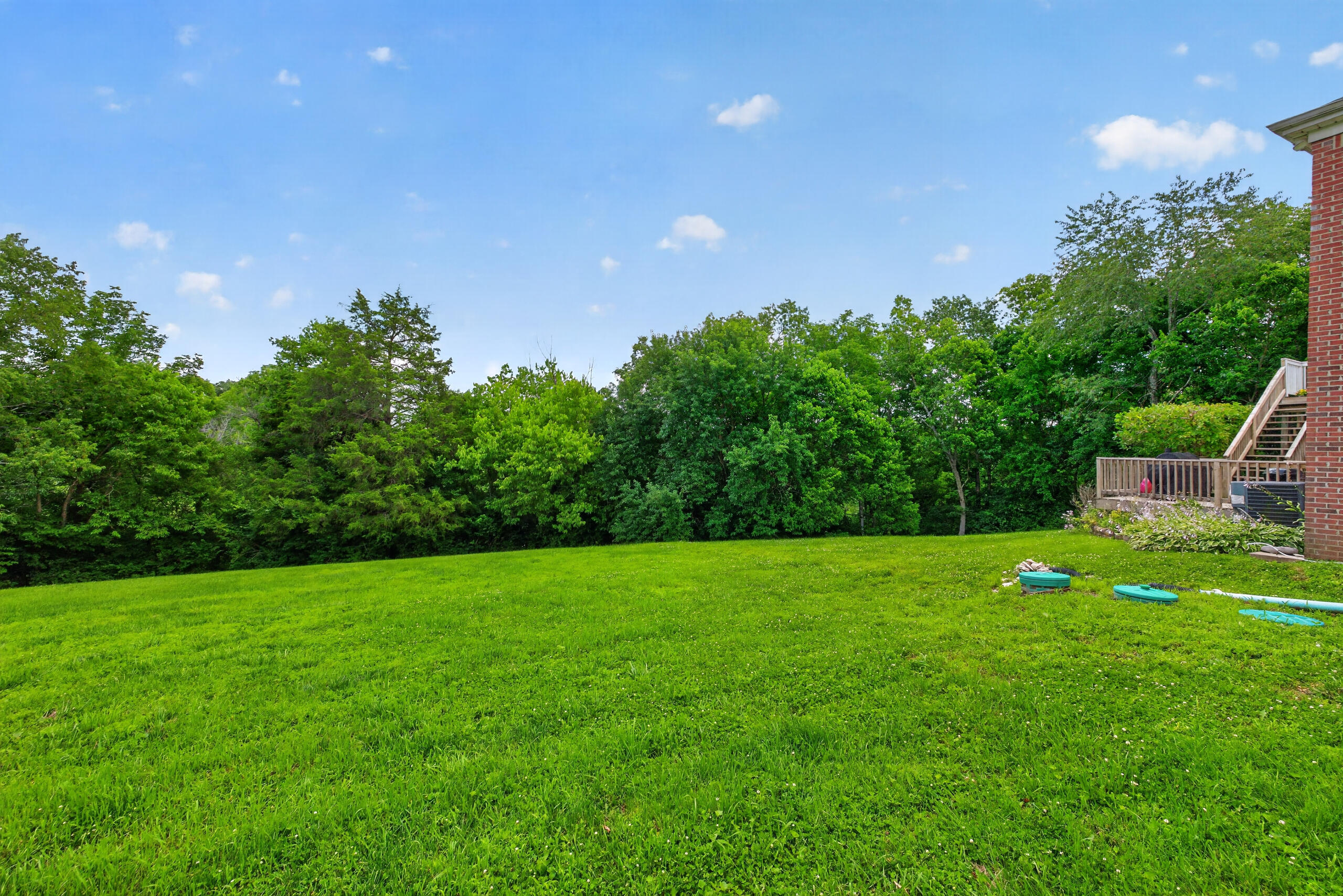 115 St Michaels Crossing Property Photo 45