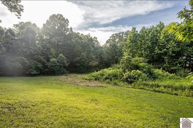 6974 Aurora Highway Property Photo 3