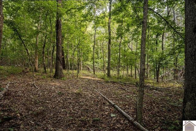 6974 Aurora Highway Property Photo 4