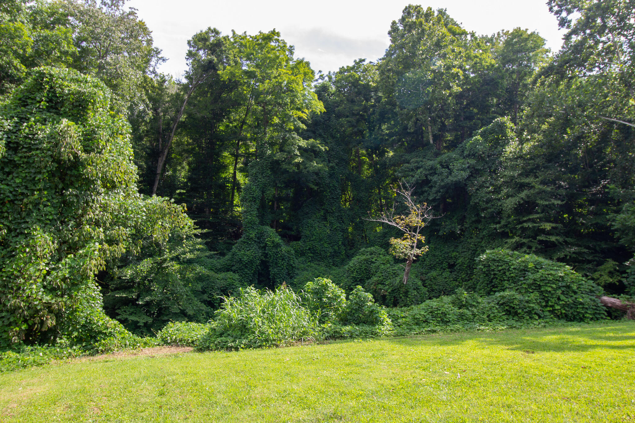 6053 W U.s. 460 Highway Property Photo 22