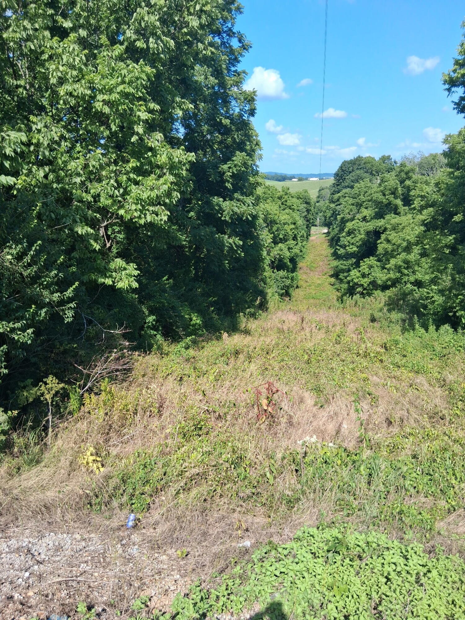 2707 Short Pike Property Photo 6
