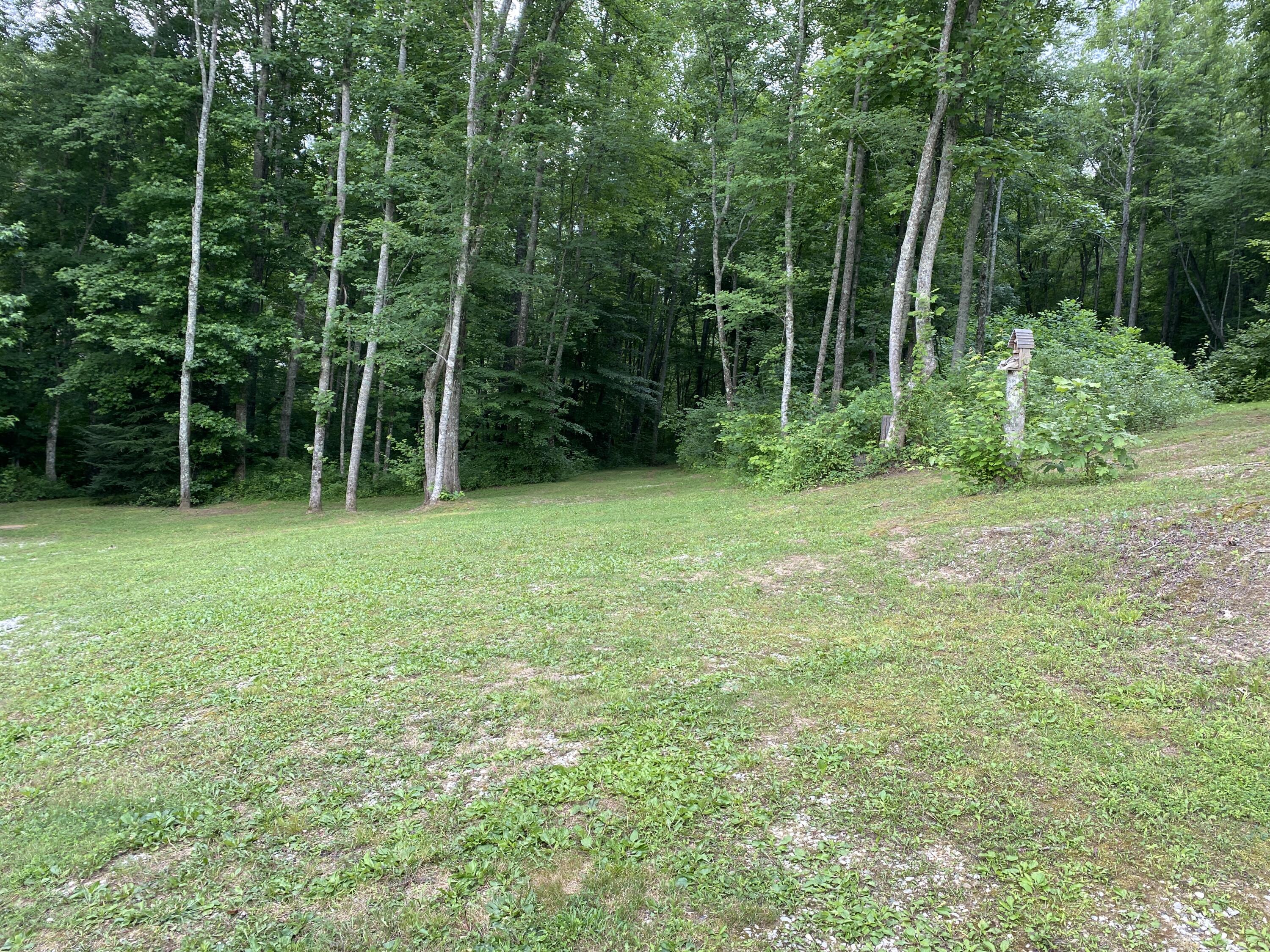 75 Walnut Road Property Photo 13