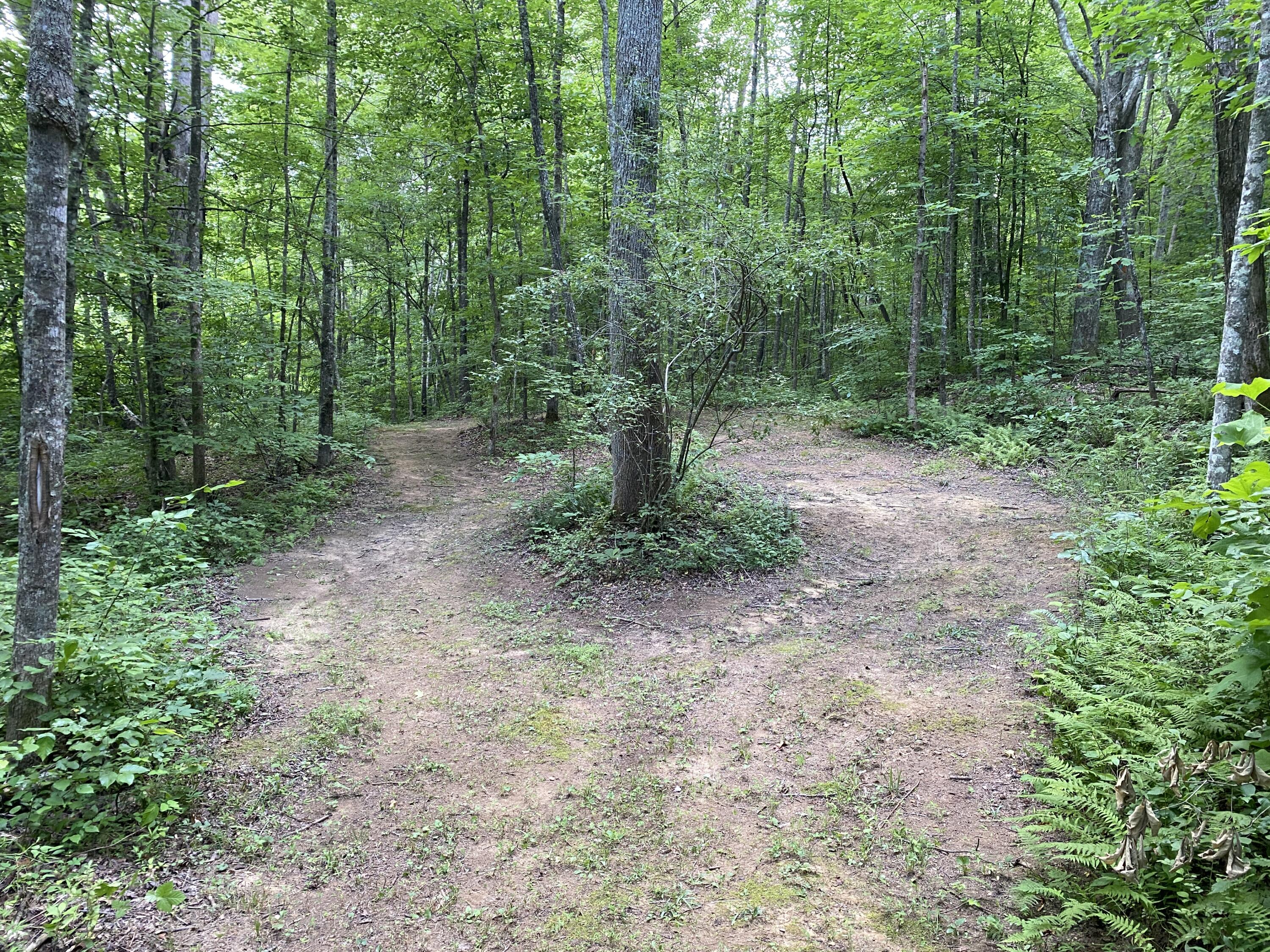 75 Walnut Road Property Photo 15