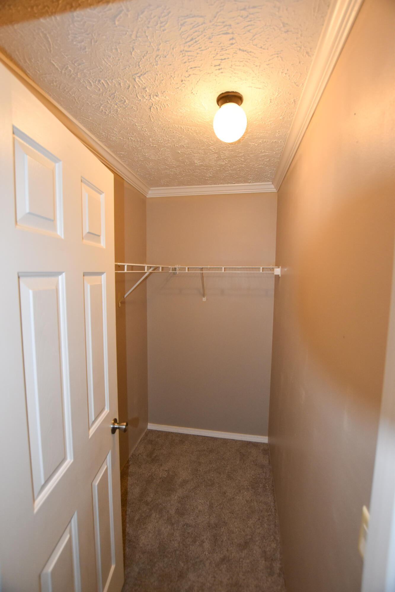 40 Marigold Lane Property Photo 16