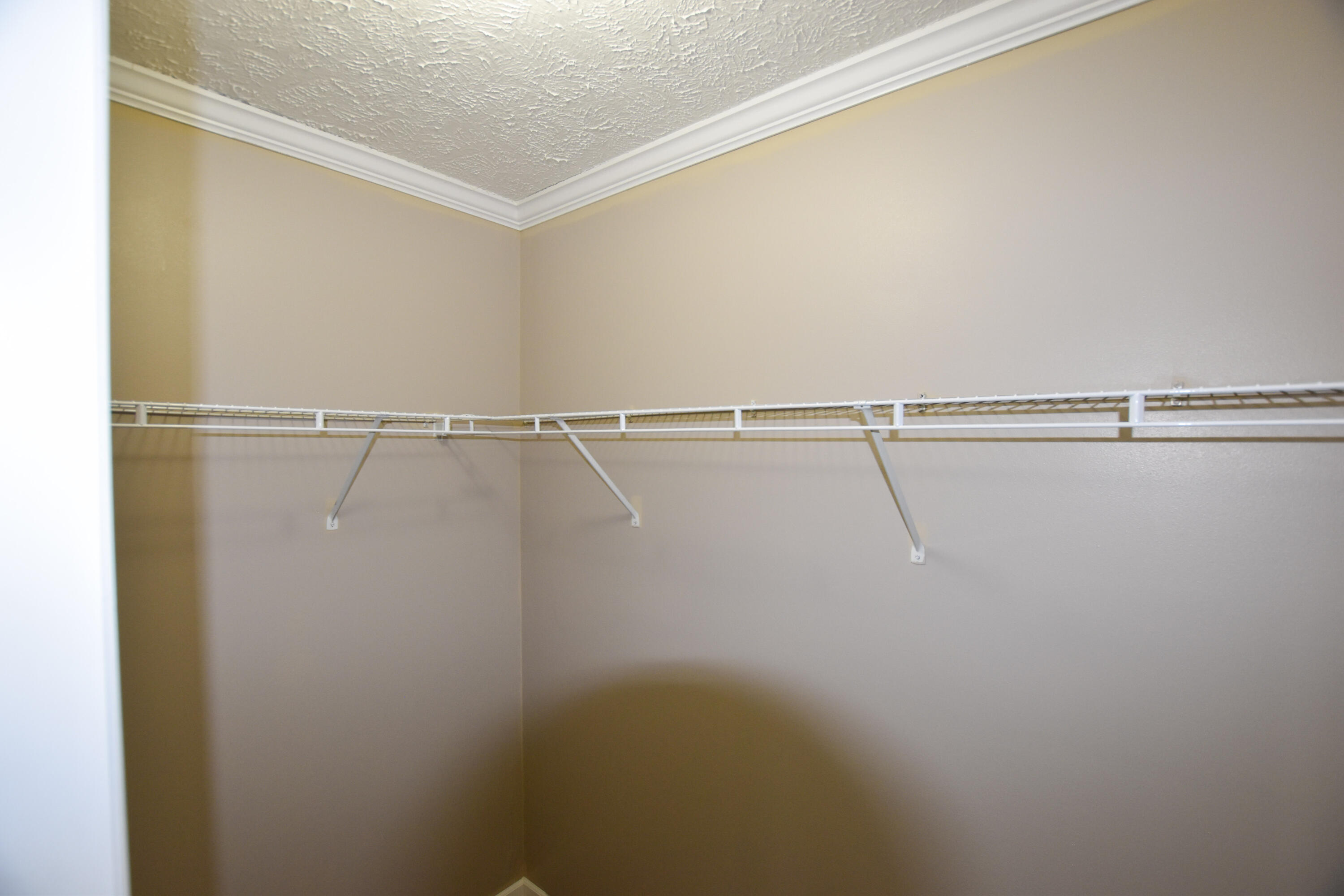 40 Marigold Lane Property Photo 17