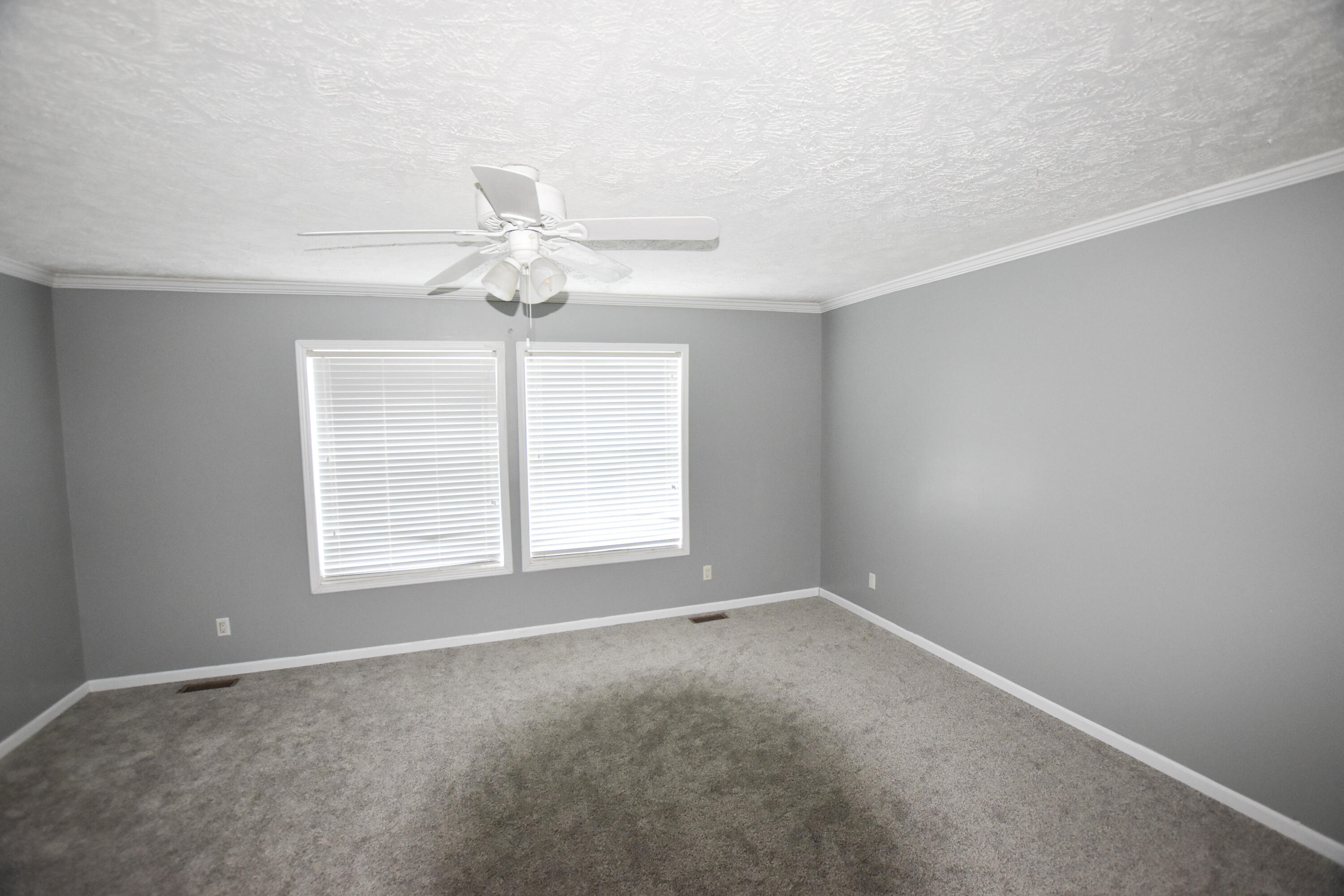 40 Marigold Lane Property Photo 29