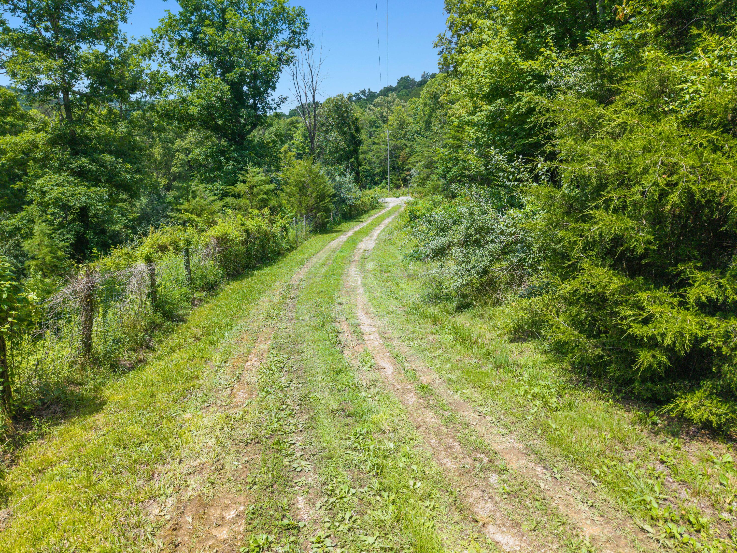 214 Price Valley Cemetery Road Property Photo 31