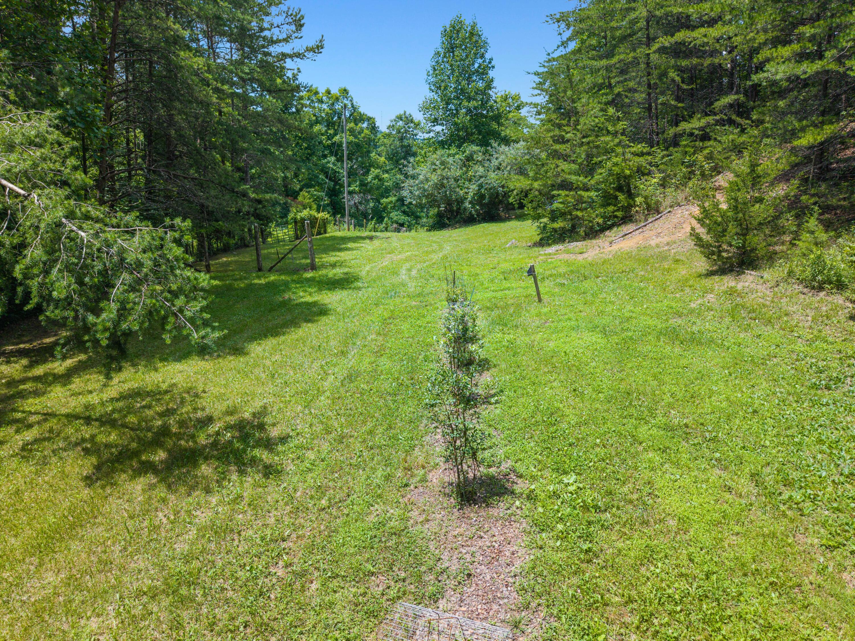 214 Price Valley Cemetery Road Property Photo 43