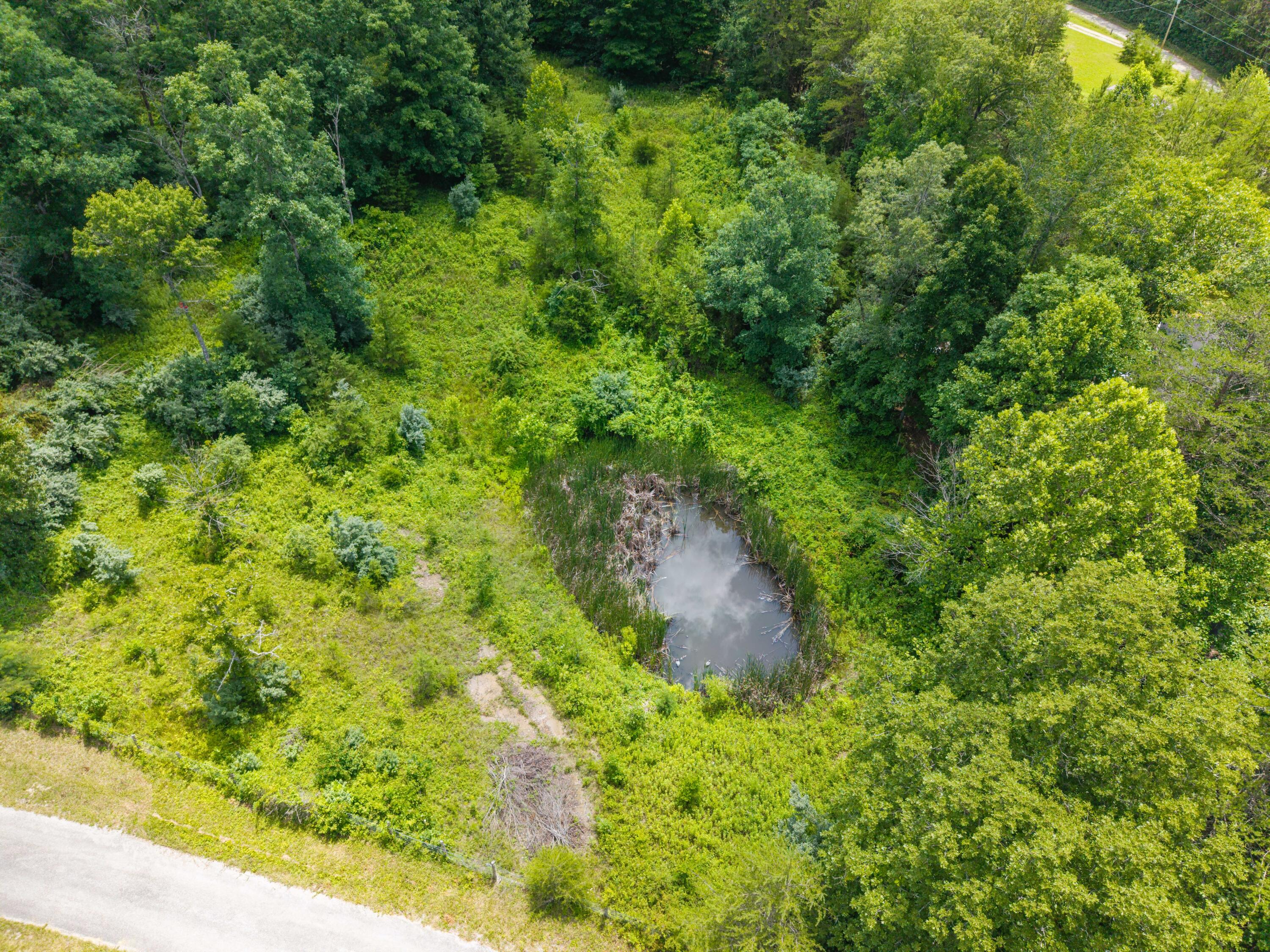 214 Price Valley Cemetery Road Property Photo 31
