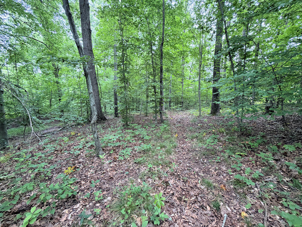 120 Troy Avenue Property Photo 3