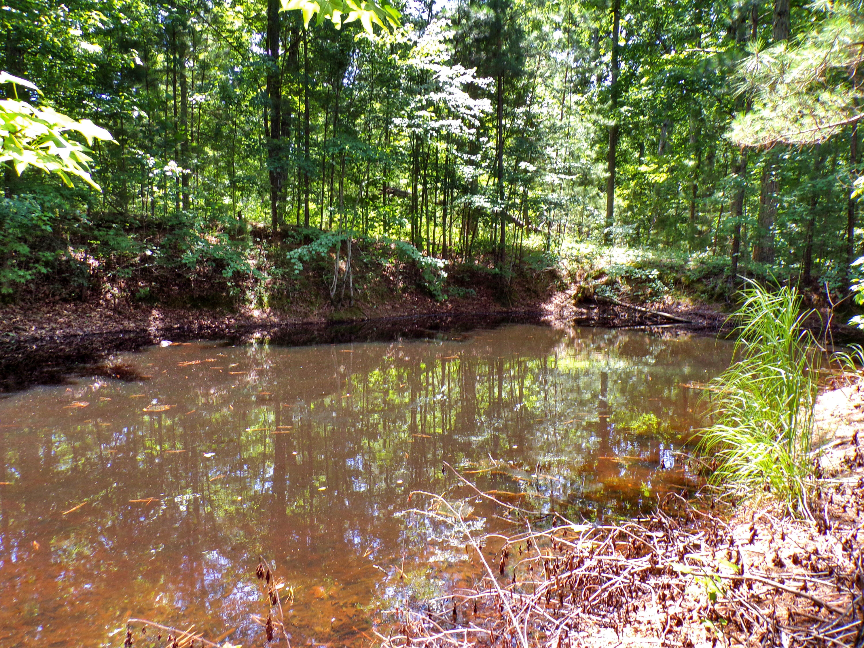 209 Jonathan Shores Road Property Photo 37