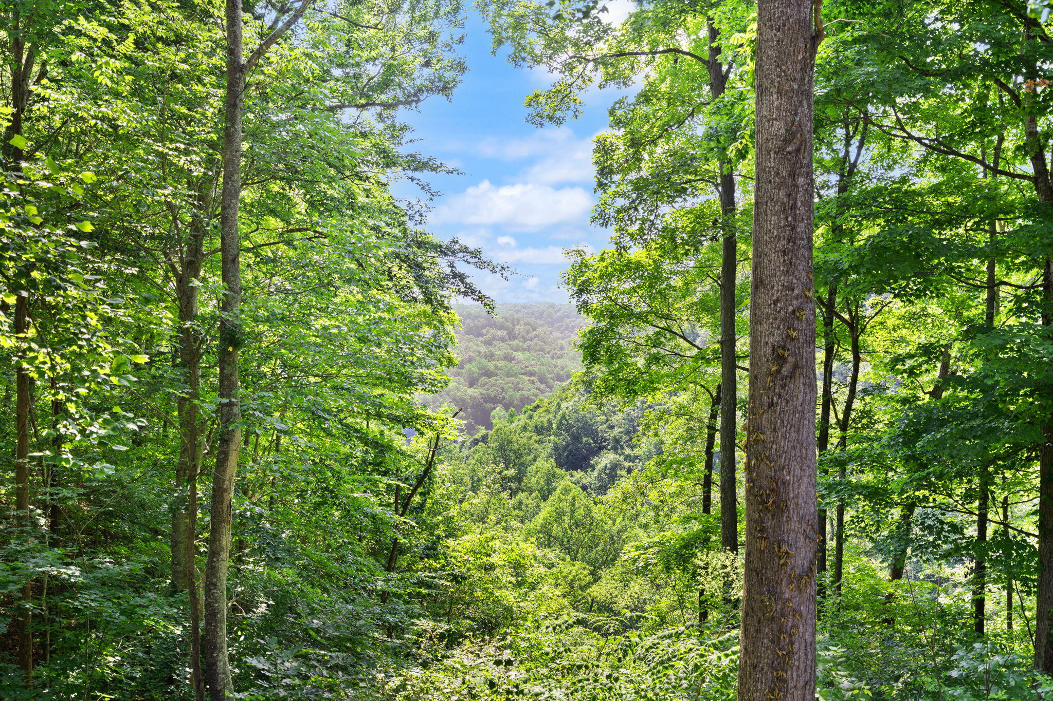529 Cliffside Drive Property Photo 3
