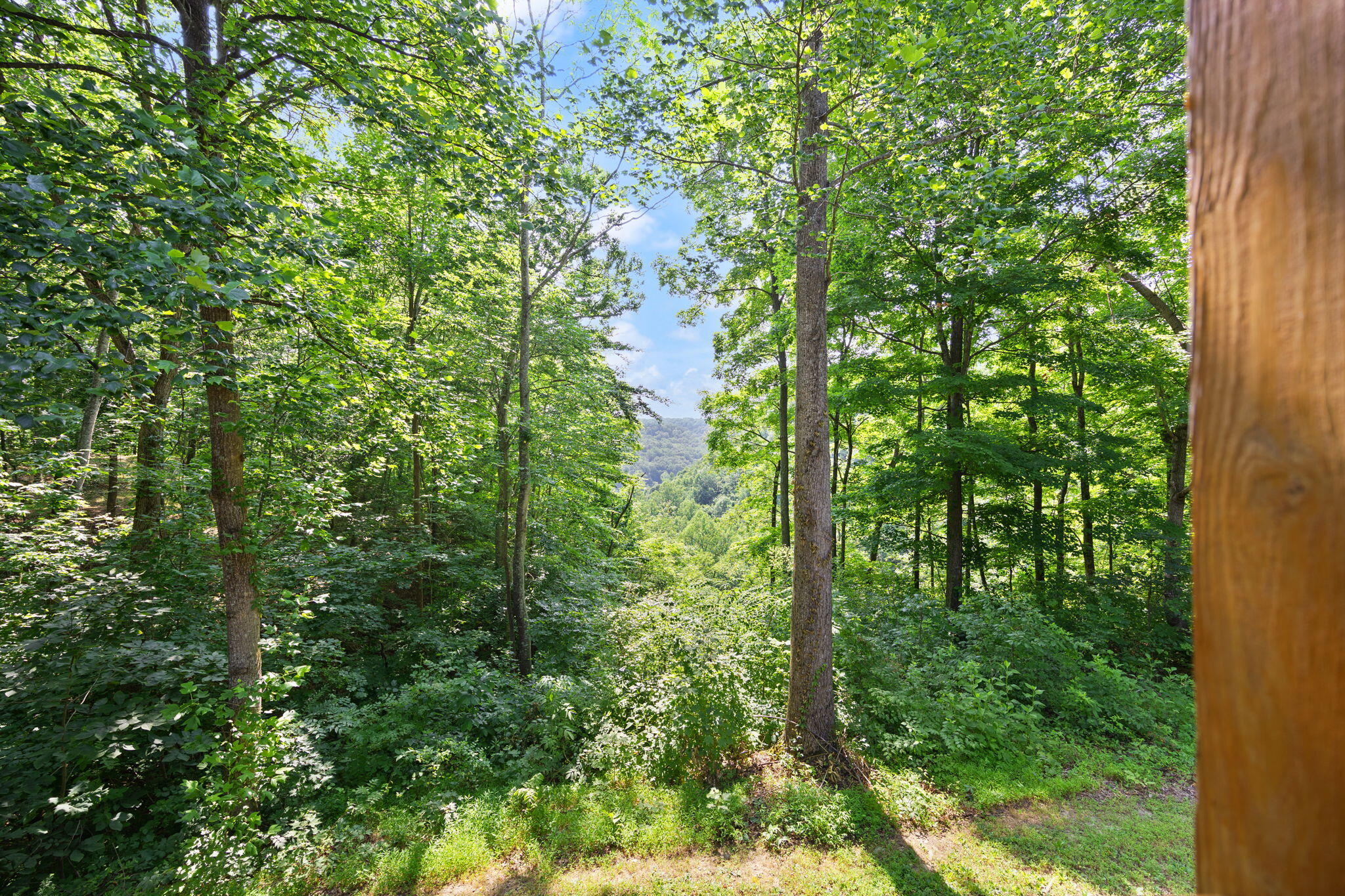 529 Cliffside Drive Property Photo 45