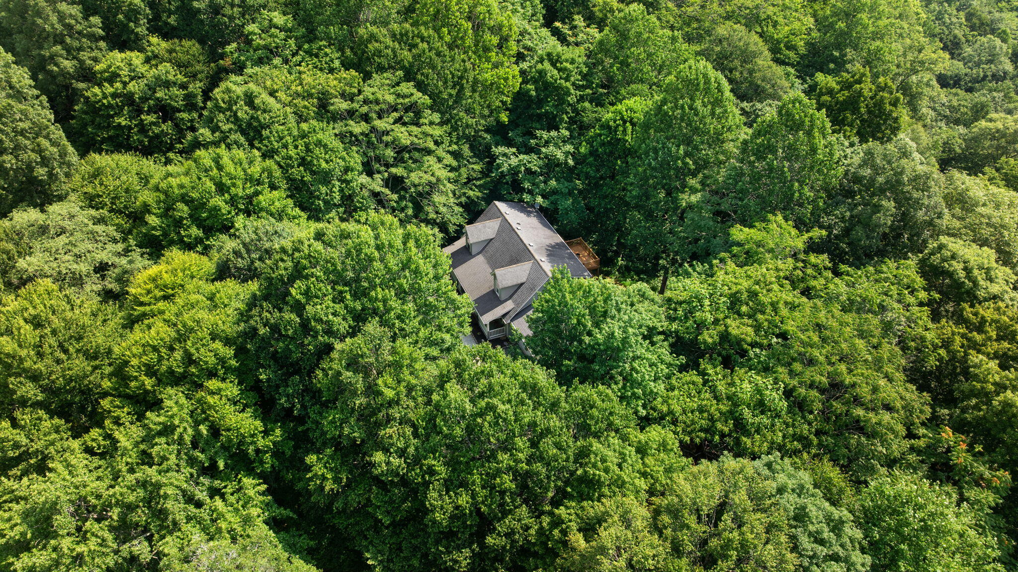 529 Cliffside Drive Property Photo 54