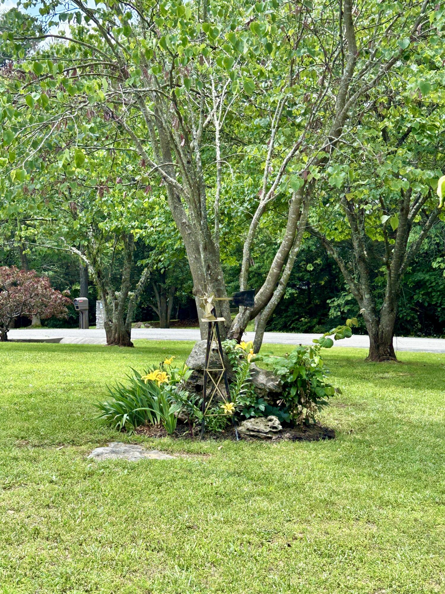 291 Forest Ridge Circle Property Photo 10