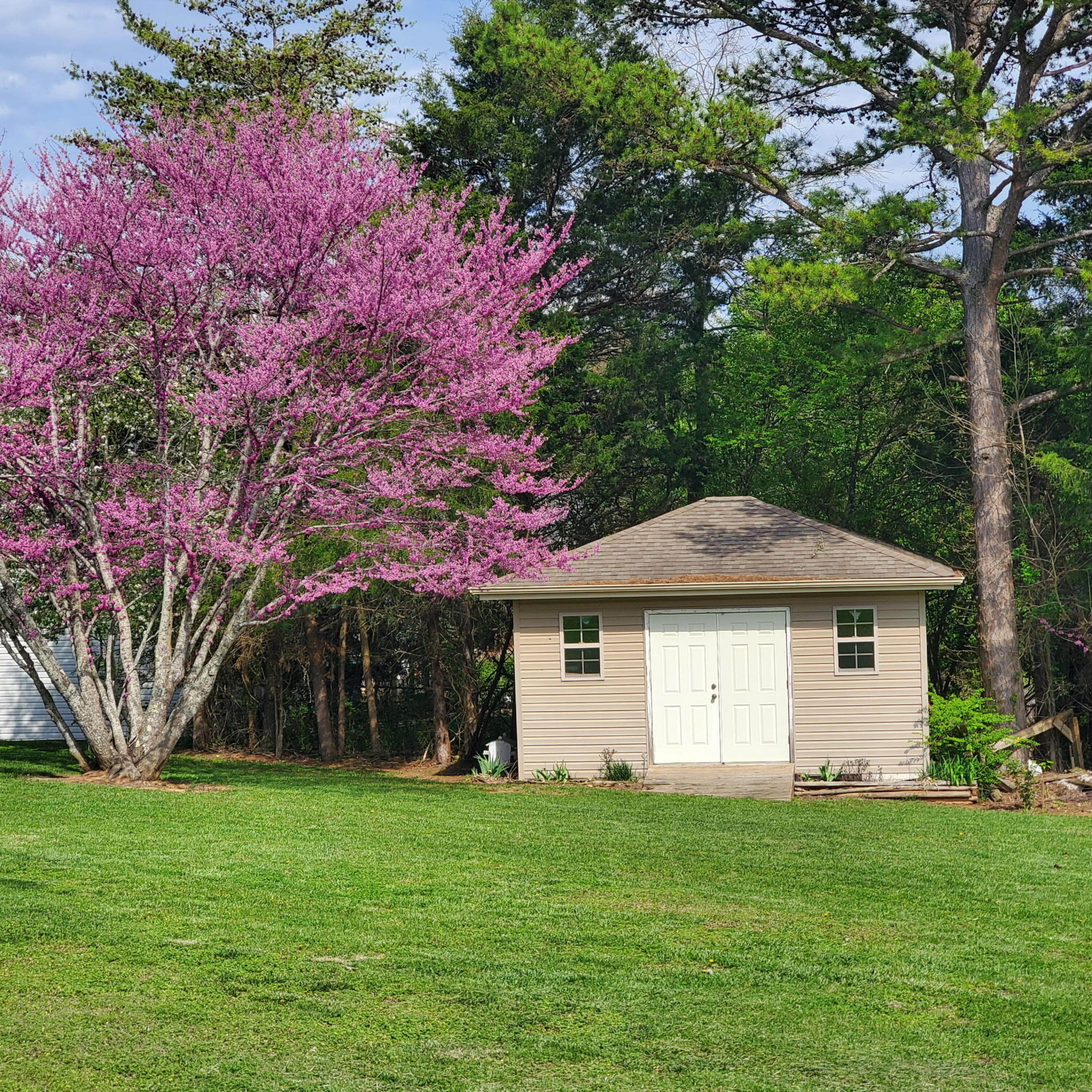 291 Forest Ridge Circle Property Photo 16