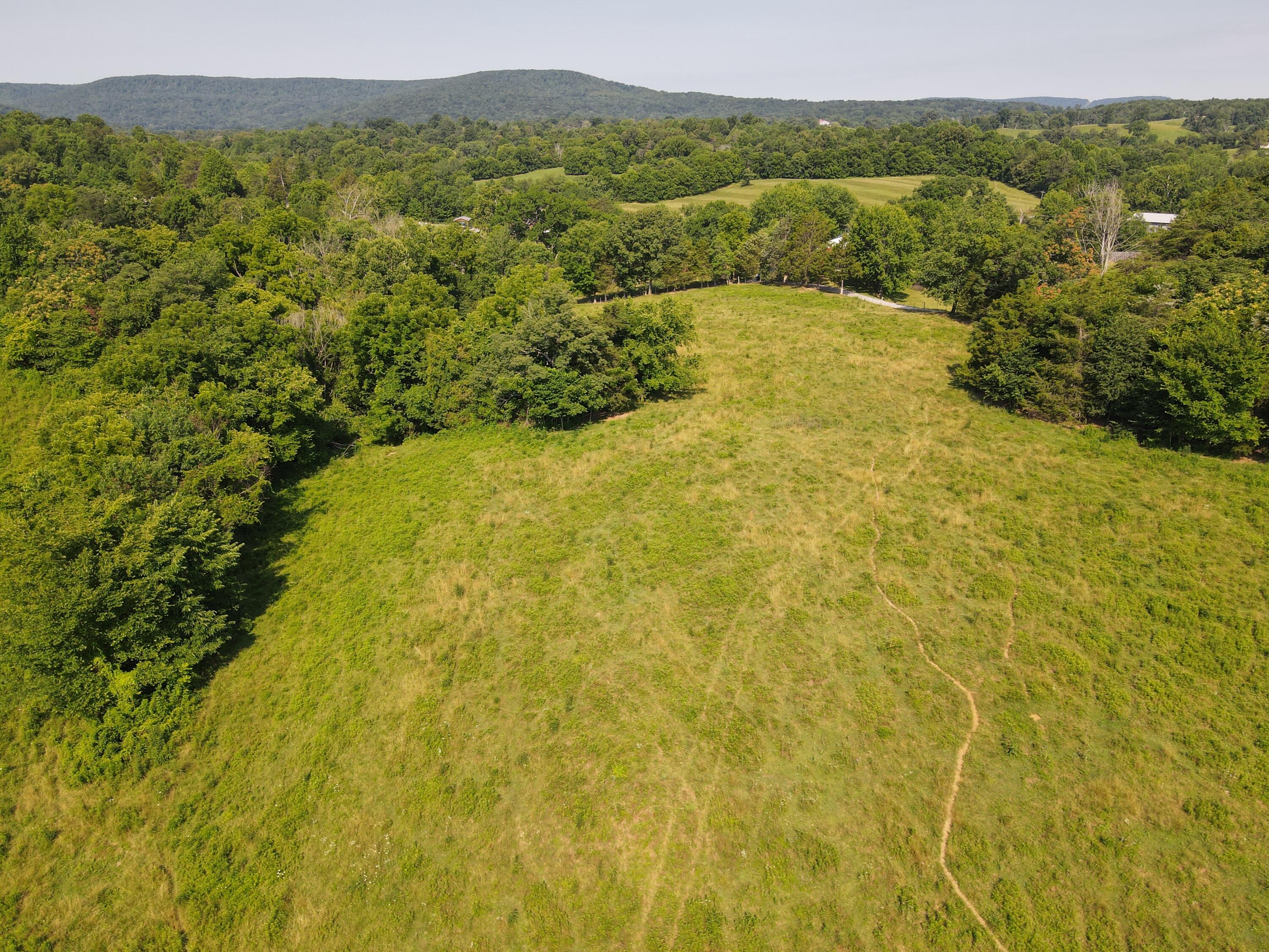 1710 State Highway 1009 Property Photo 4