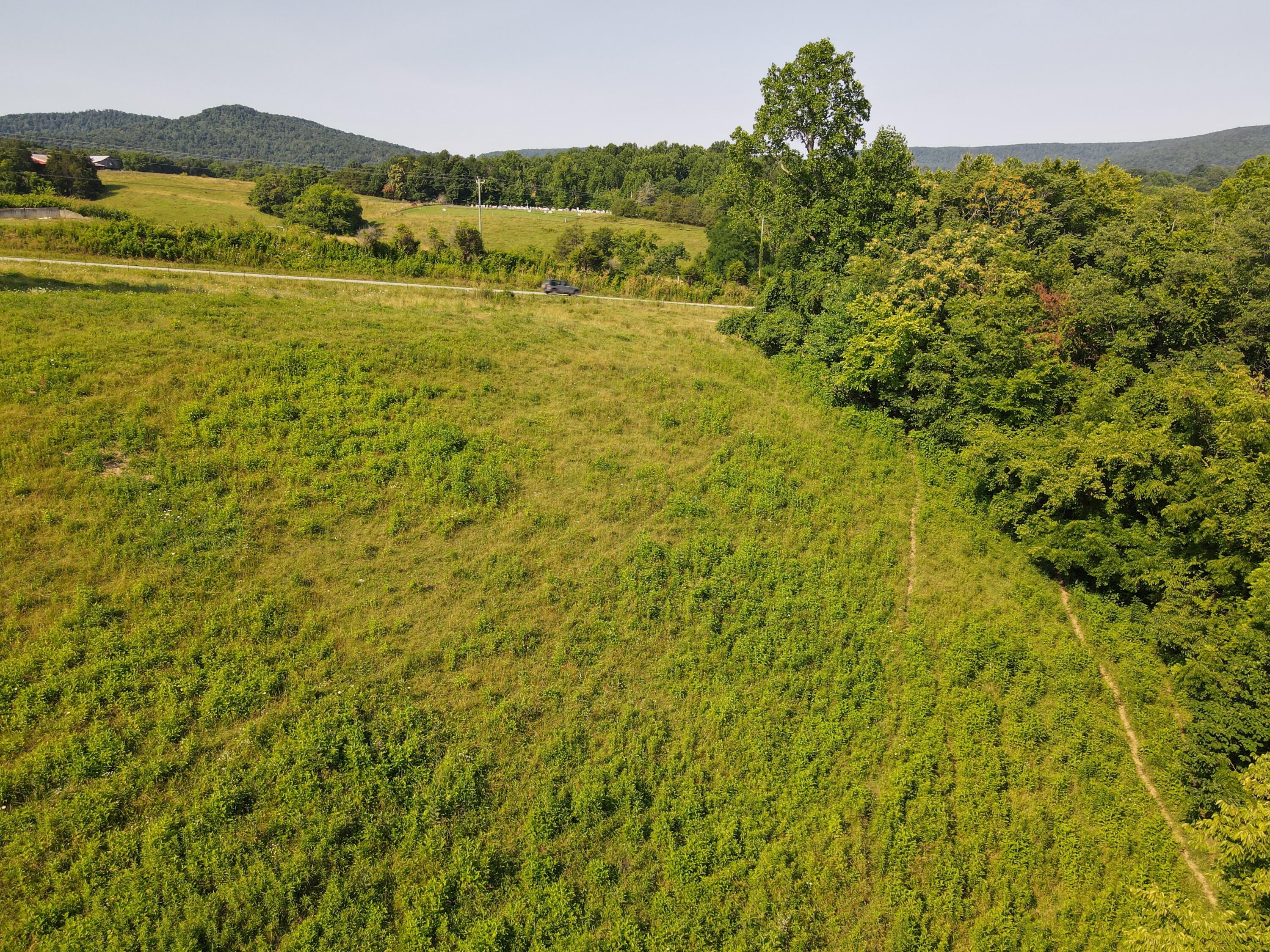 1710 State Highway 1009 Property Photo 7