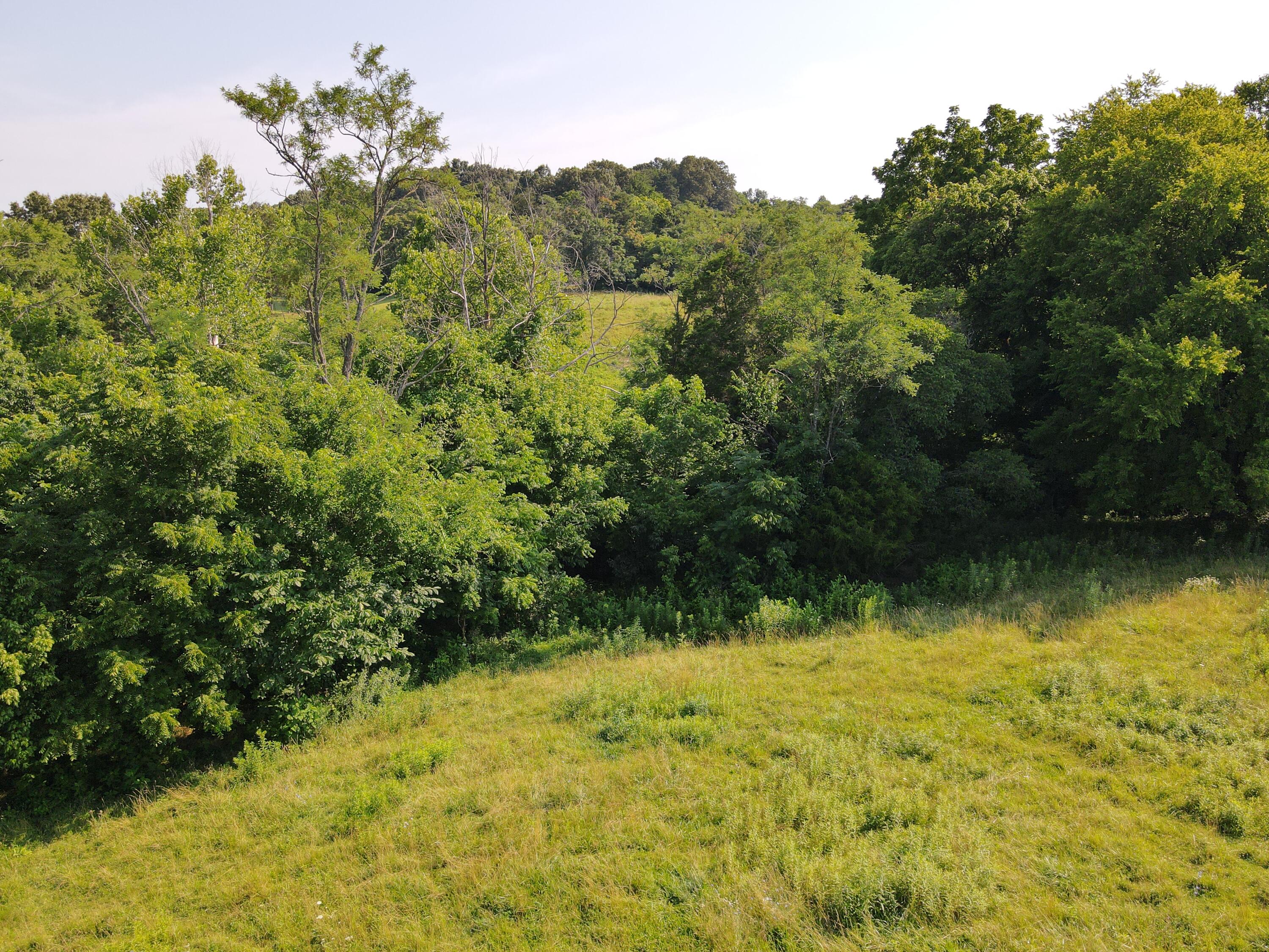 1710 State Highway 1009 Property Photo 11