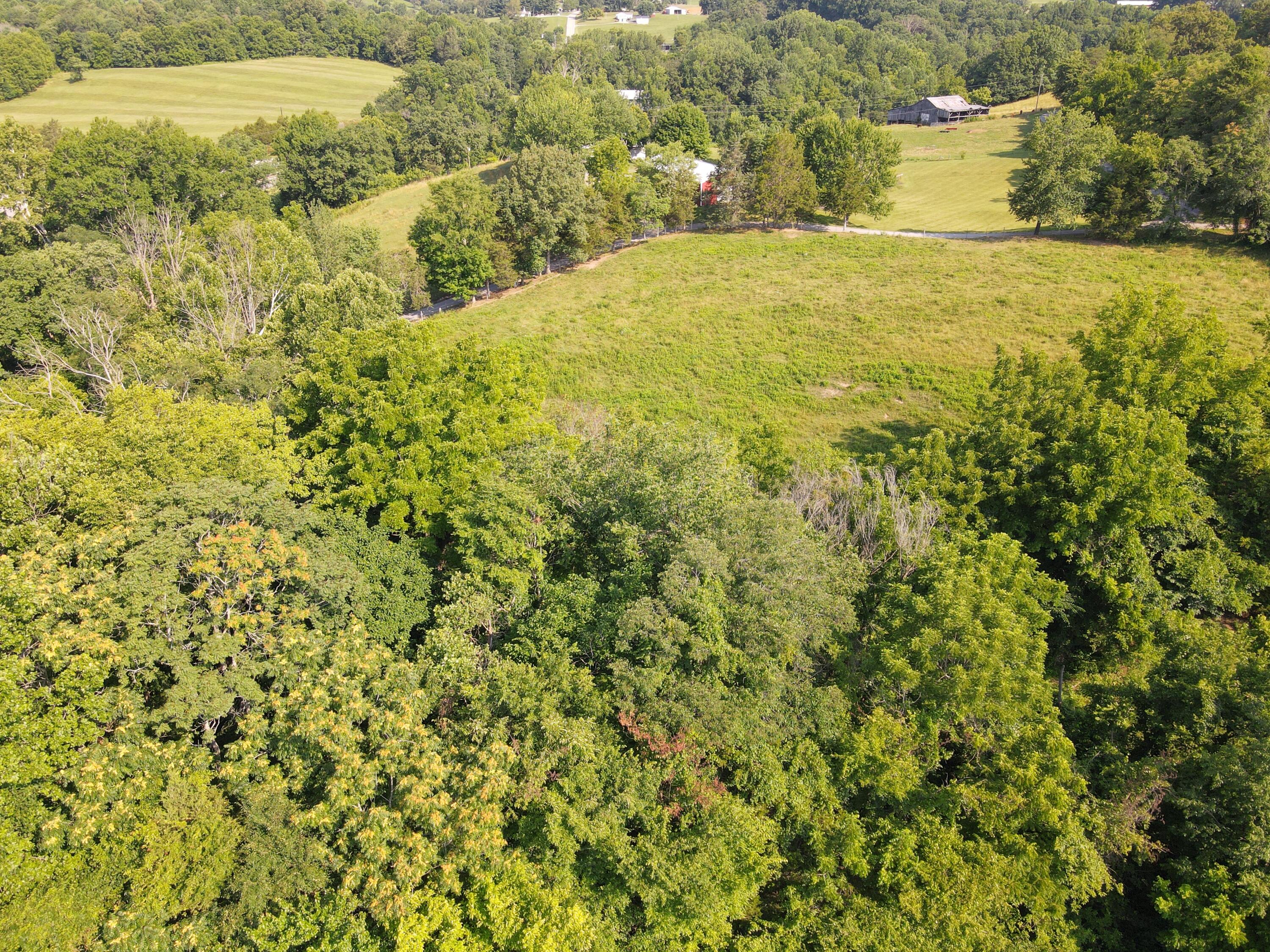 1710 State Highway 1009 Property Photo 12