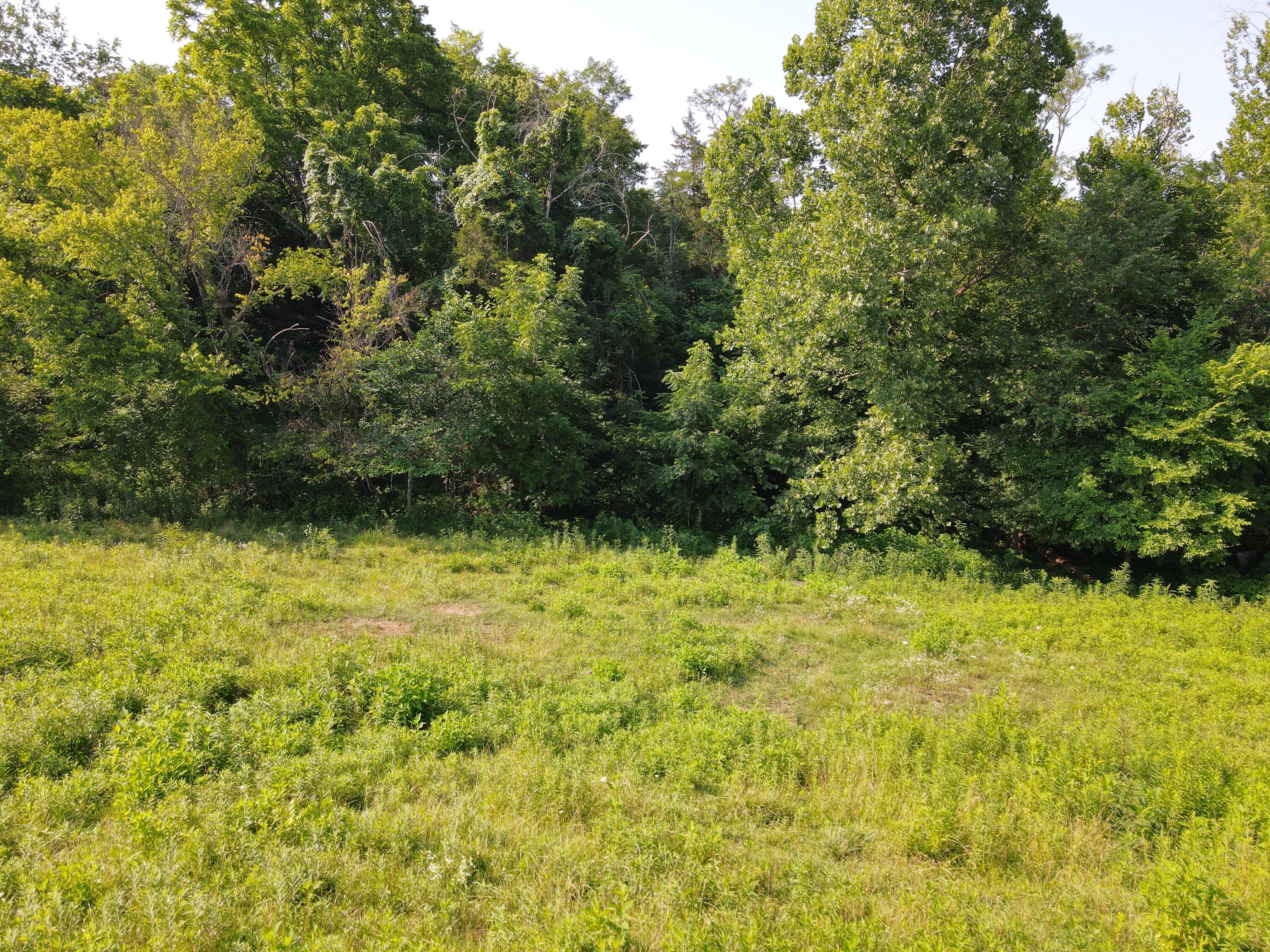 1710 State Highway 1009 Property Photo 14