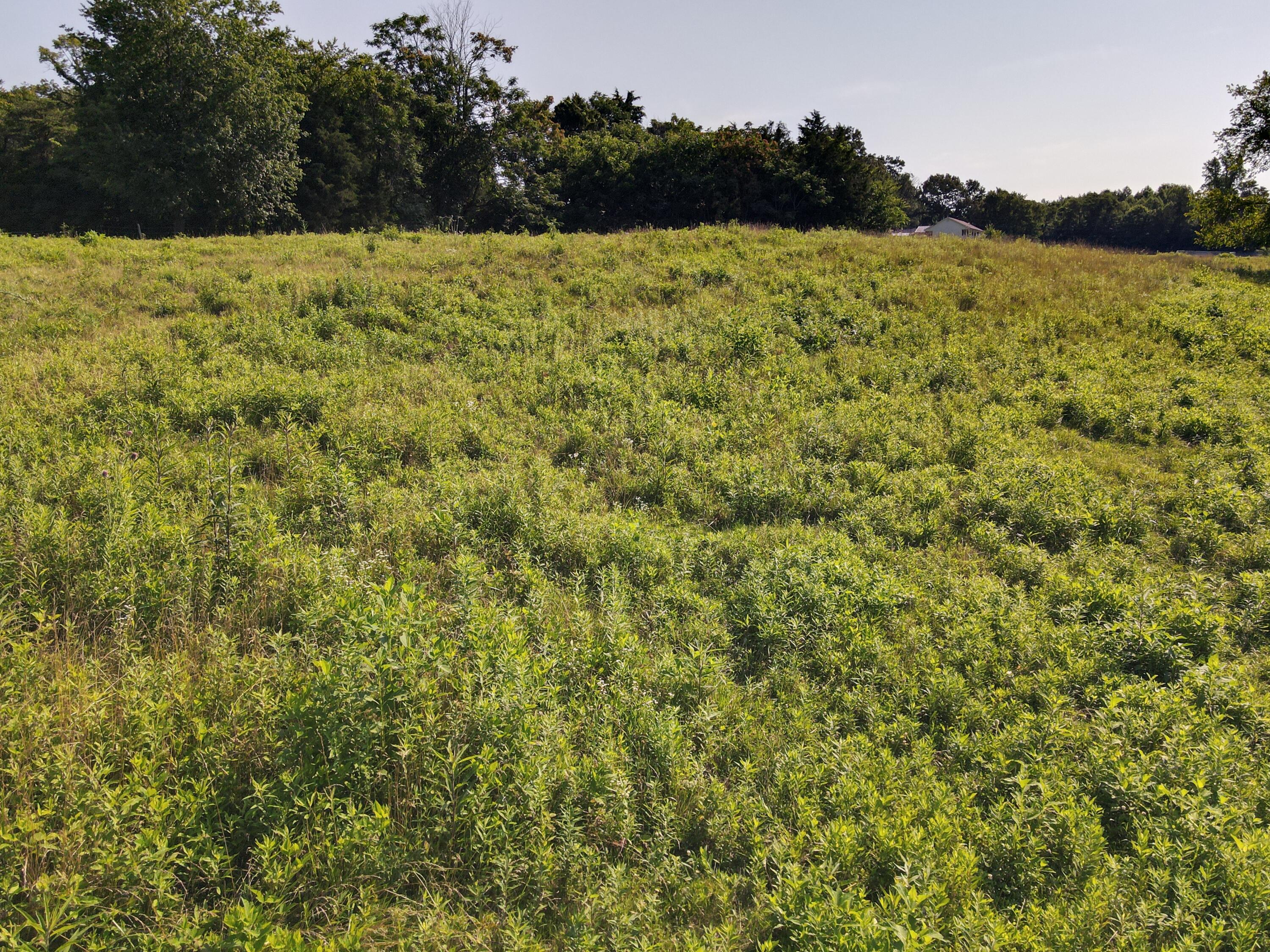 1710 State Highway 1009 Property Photo 15