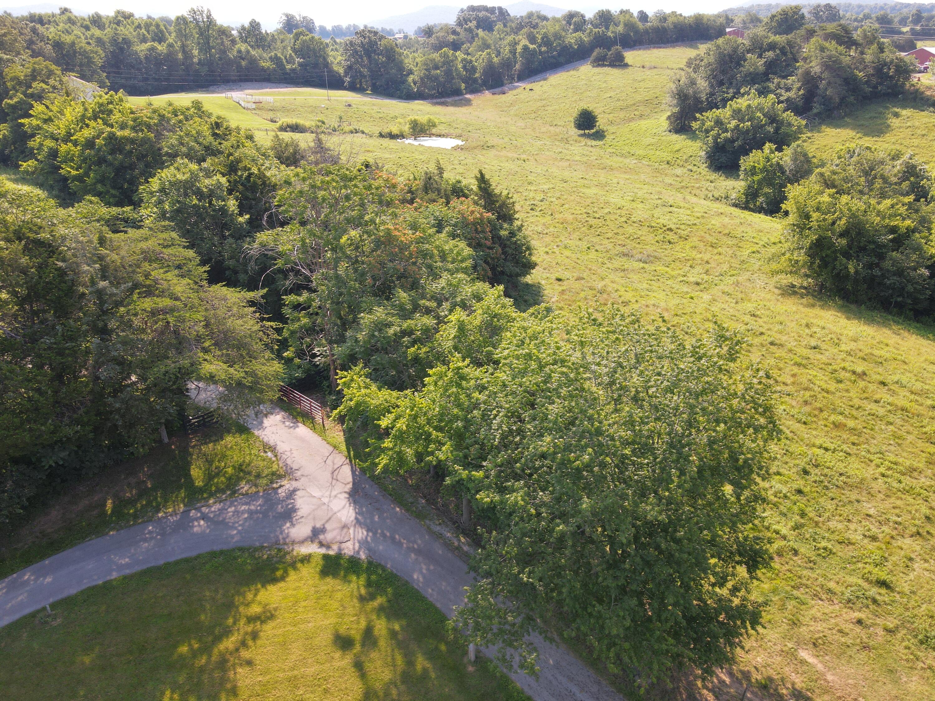 1710 State Highway 1009 Property Photo 18
