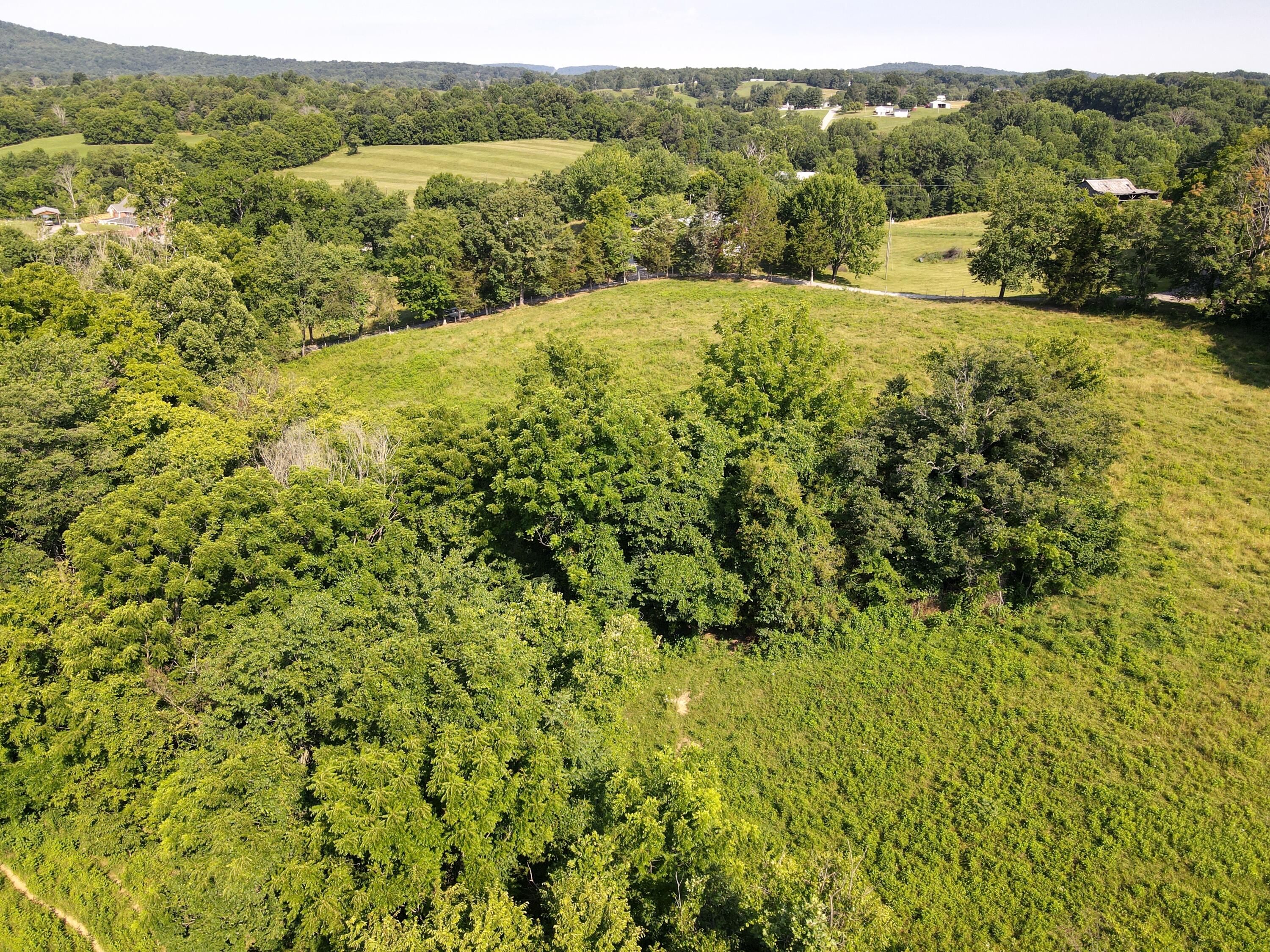 1710 State Highway 1009 Property Photo 19