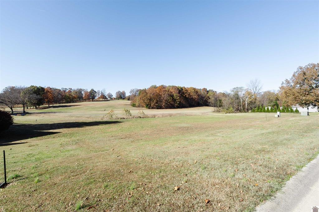 Lot 12 & 13 Fairway Dr Property Photo 4
