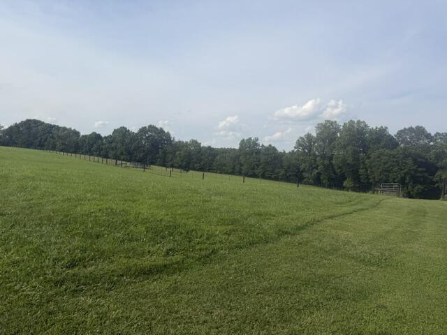 398 Jim Weaver Road Property Photo 59