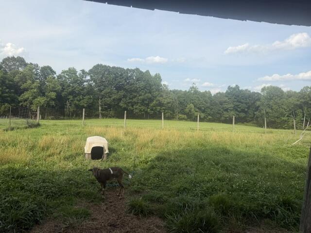 398 Jim Weaver Road Property Photo 60