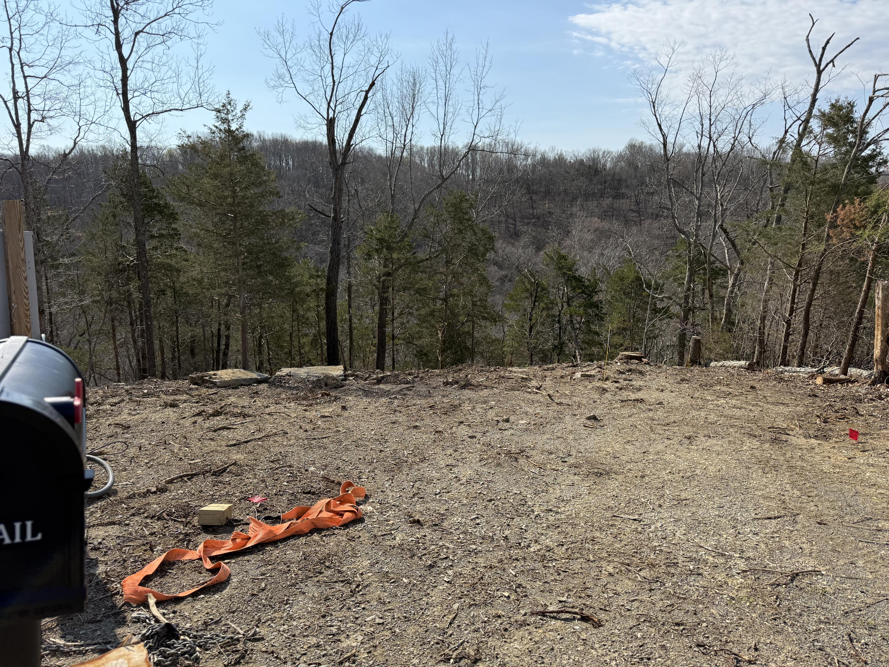 491 Peach Tree Lane Property Photo 2