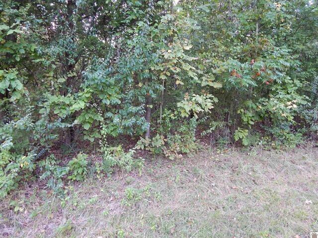 Lot 44 Forest Lane Property Photo 1