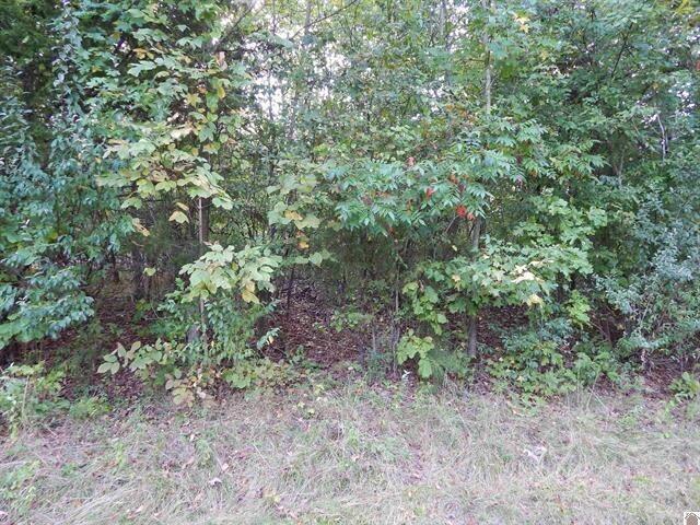Lot 44 Forest Lane Property Photo 2