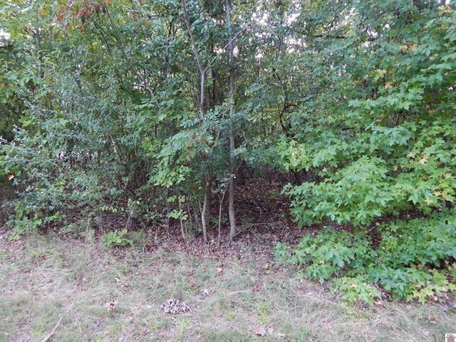Lot 44 Forest Lane Property Photo 3