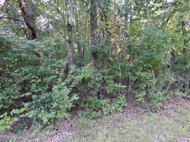Lot 44 Forest Lane Property Photo 4