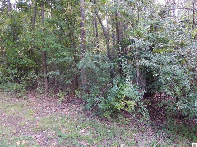 Lot 44 Forest Lane Property Photo 5