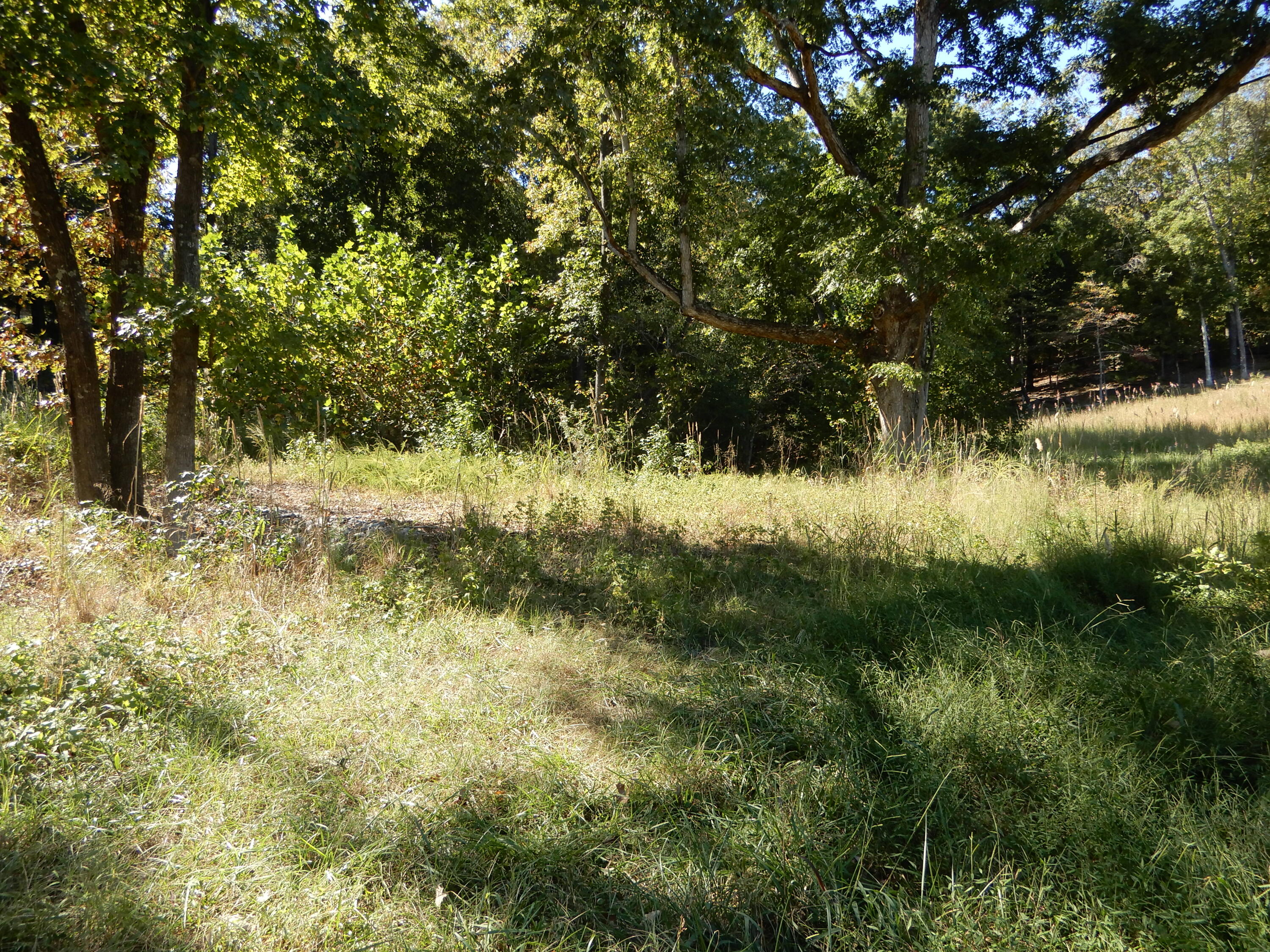 Lot 7 And 8 Roy Harris Road Property Photo 1