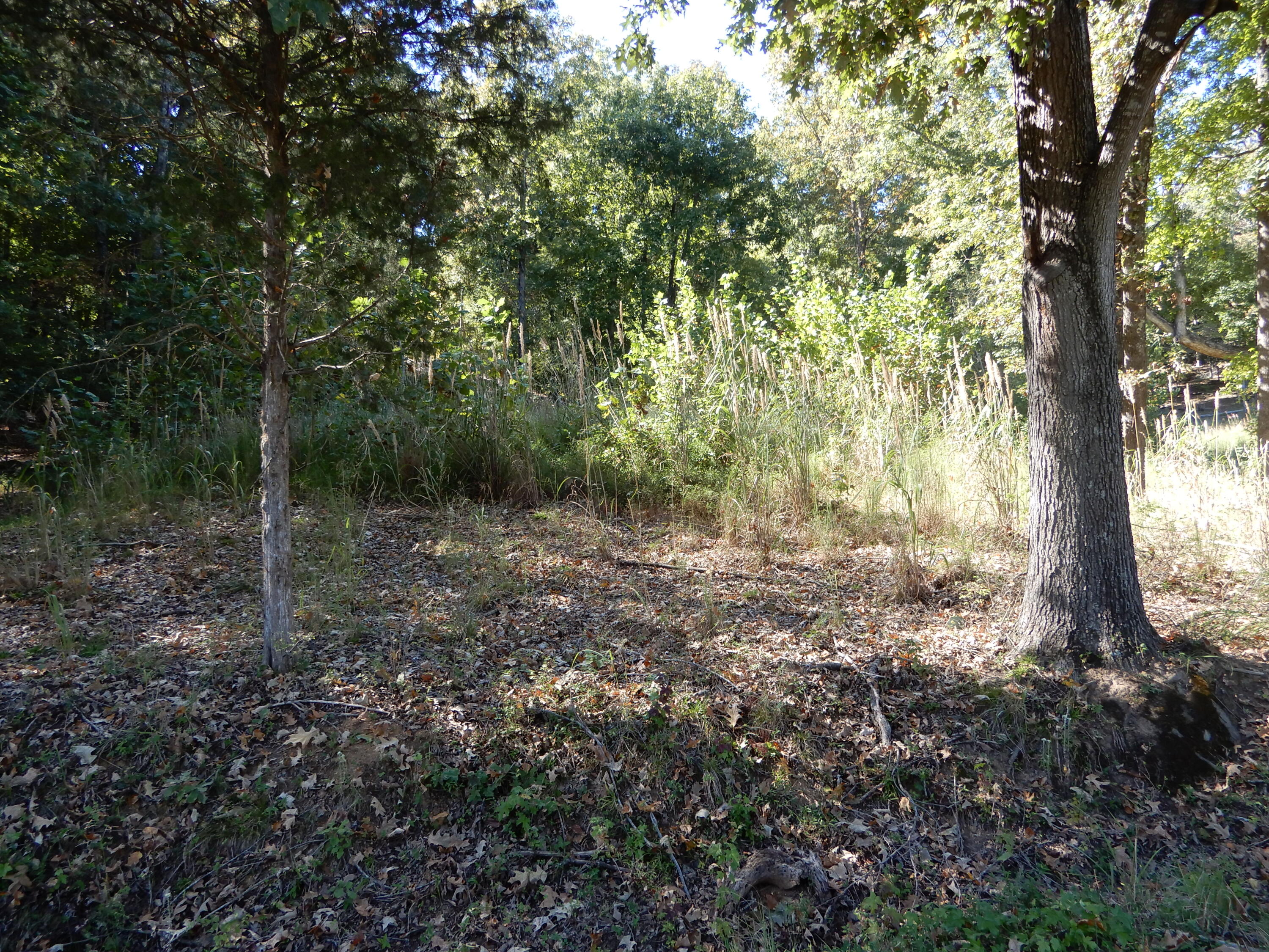 Lot 7 And 8 Roy Harris Road Property Photo 3