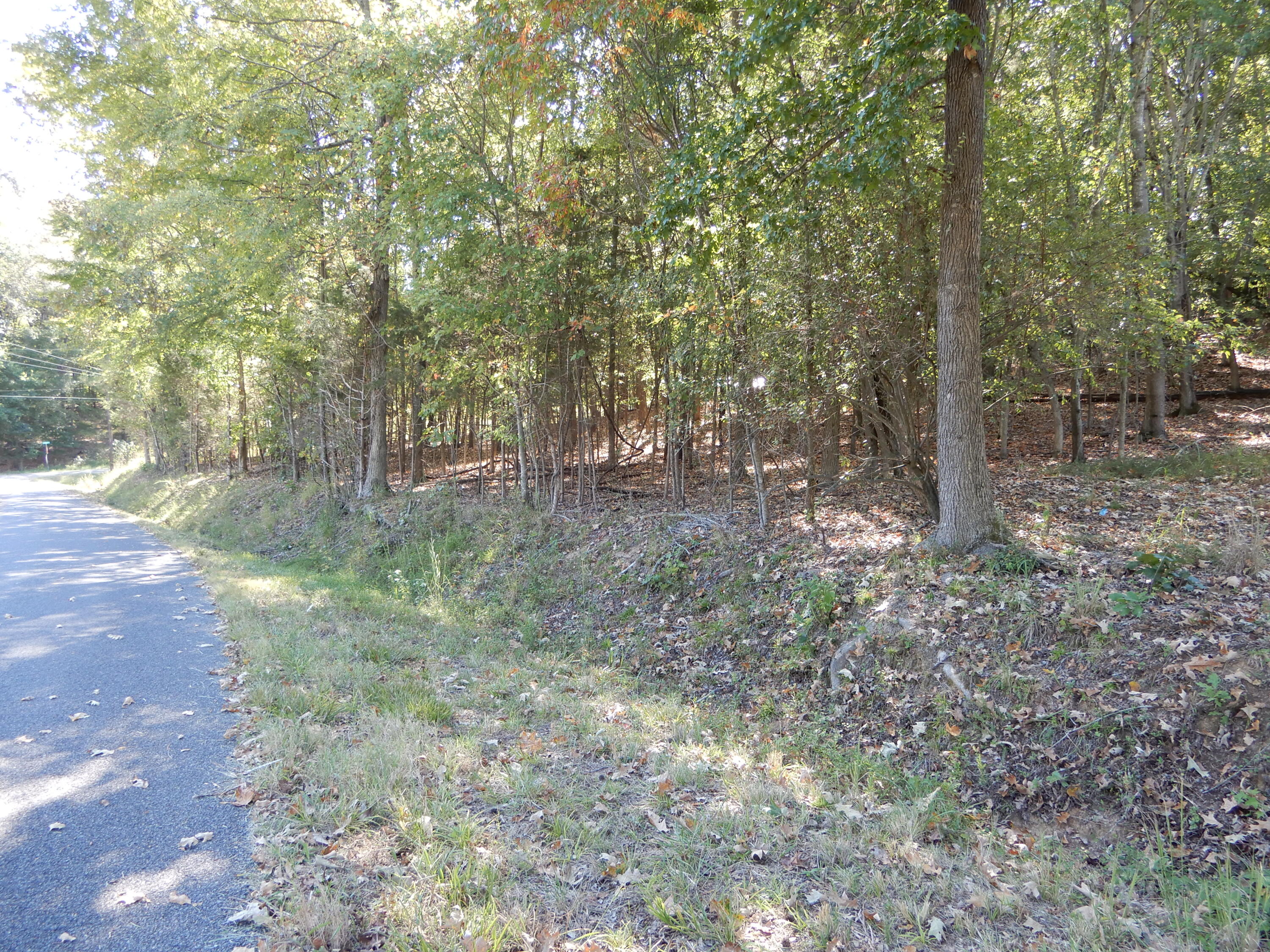 Lot 7 And 8 Roy Harris Road Property Photo 4