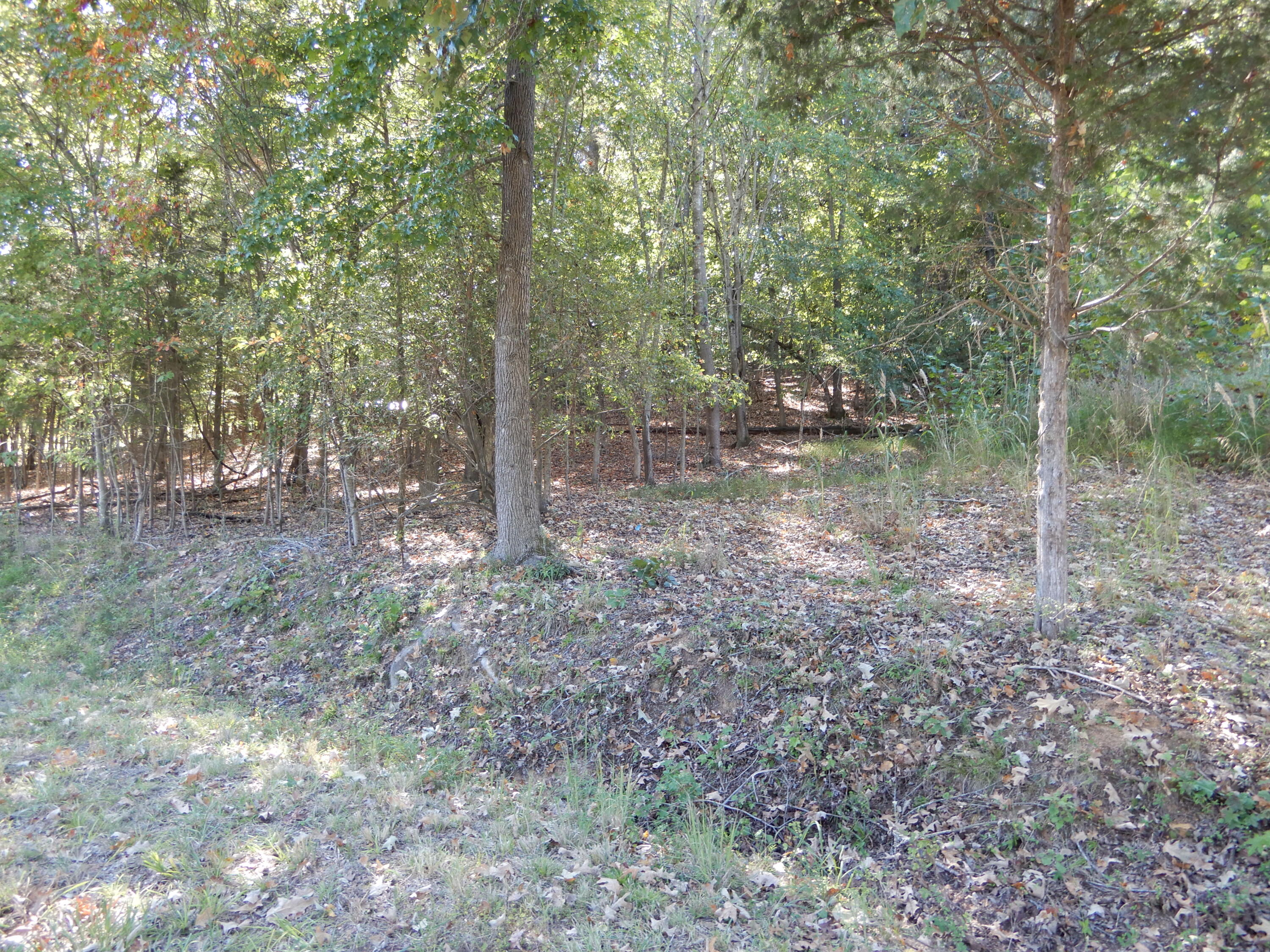 Lot 7 And 8 Roy Harris Road Property Photo 5